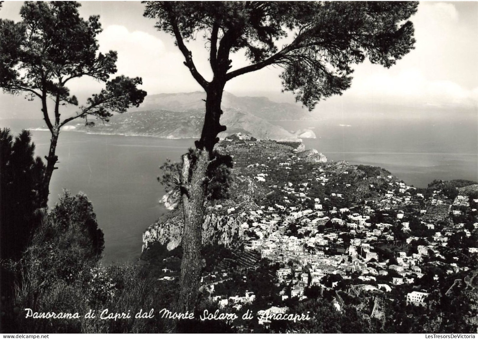 ITALIE - Capri - Panorama Di Capri Dal Monte Solaro Di Anacapri - Carte Postale - Napoli (Neapel)