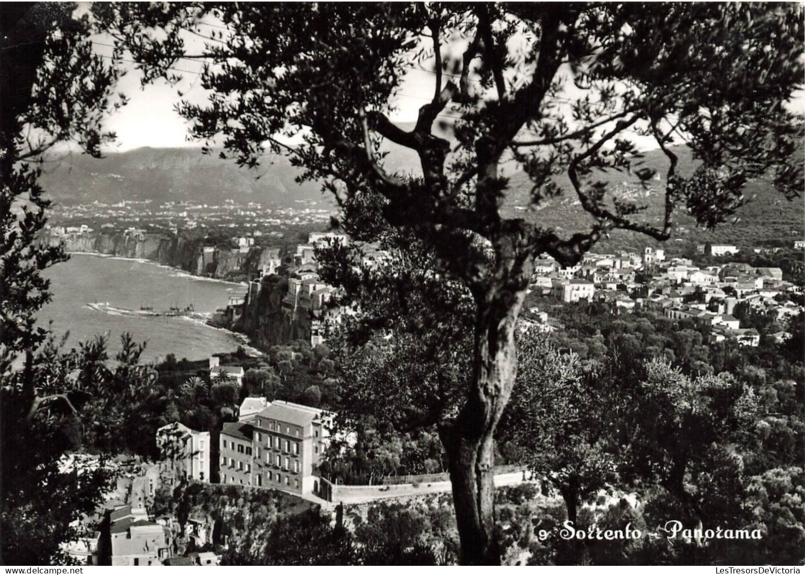 ITALIE - Sorrento - Panorama - Carte Postale - Napoli (Napels)