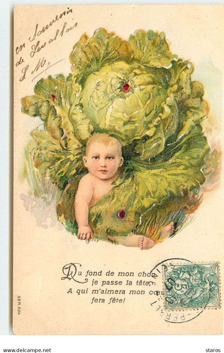 Carte Gaufrée - Du Fond De Mon Chou ... Fera Fête - Bébé Dans Un Chou - Naissance