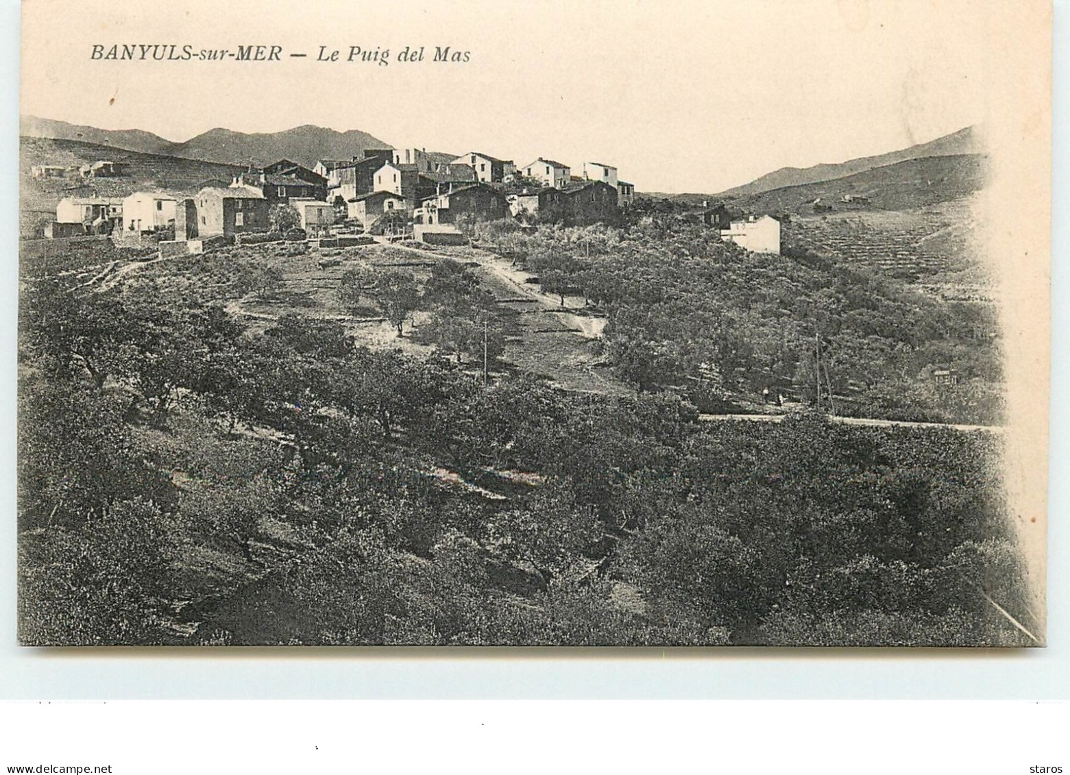 BANYULS SUR MER - Le Puig Del Mas - Banyuls Sur Mer