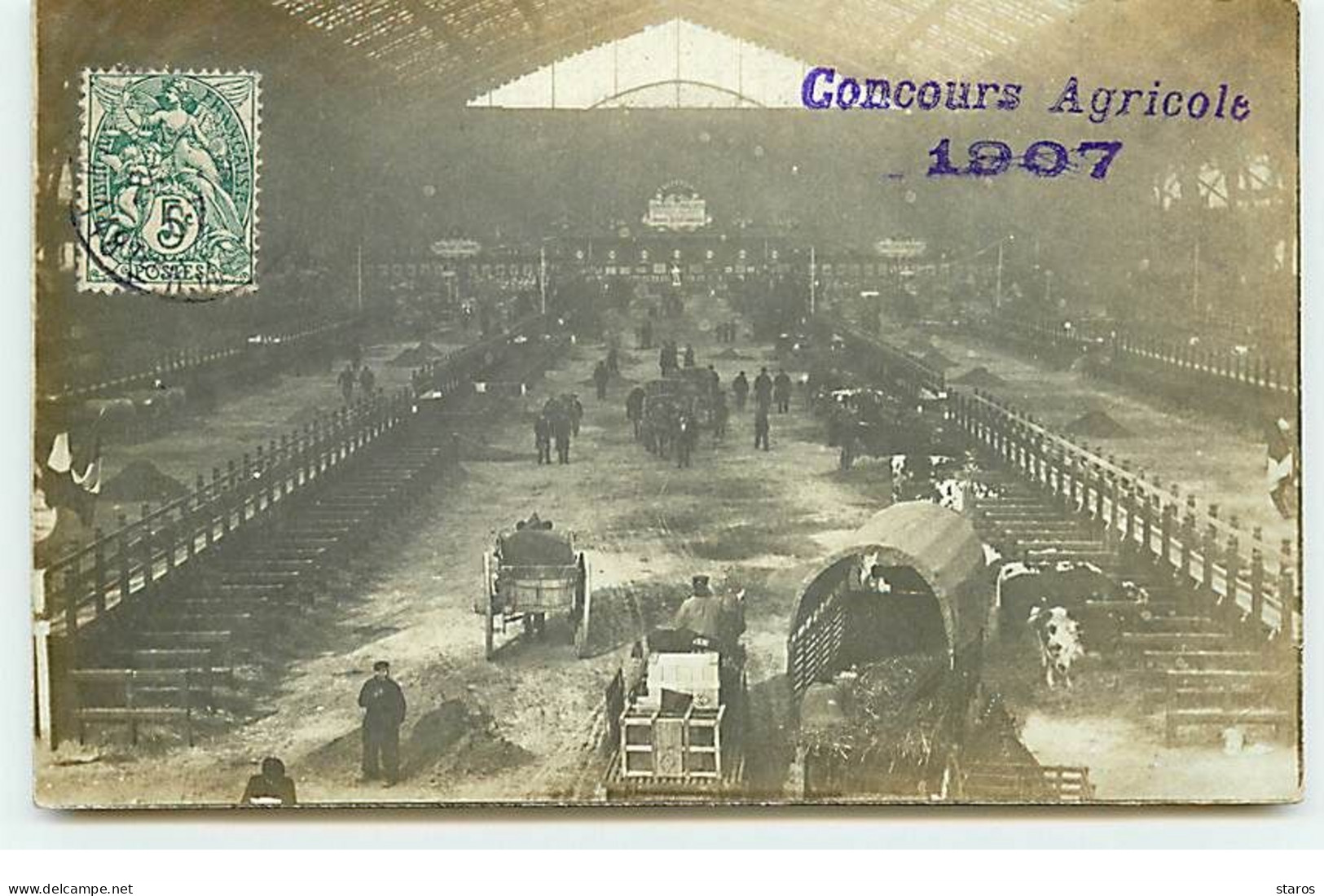 Carte Photo - PARIS - Expo - Concours Agricole 1907 - Exhibitions