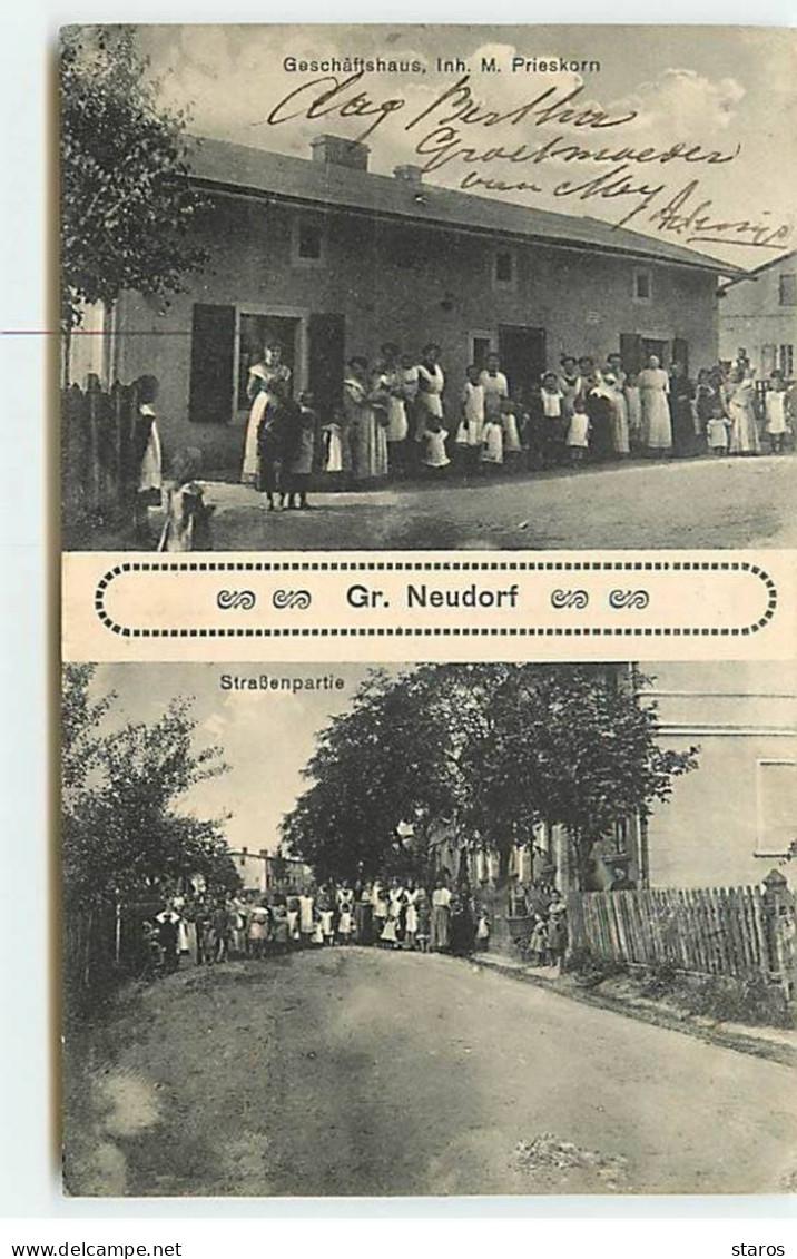 Allemagne - Gruss Aus NEUDORF - Strassenpartie - Geschâftshaus Inh. M. Prieskorn - Altri & Non Classificati