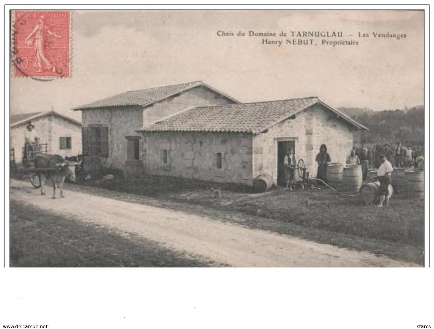 Chais Du Domaine De TARNUGLAU Les Vendanges Henri NEBUT, Propriétaire. - Andere & Zonder Classificatie