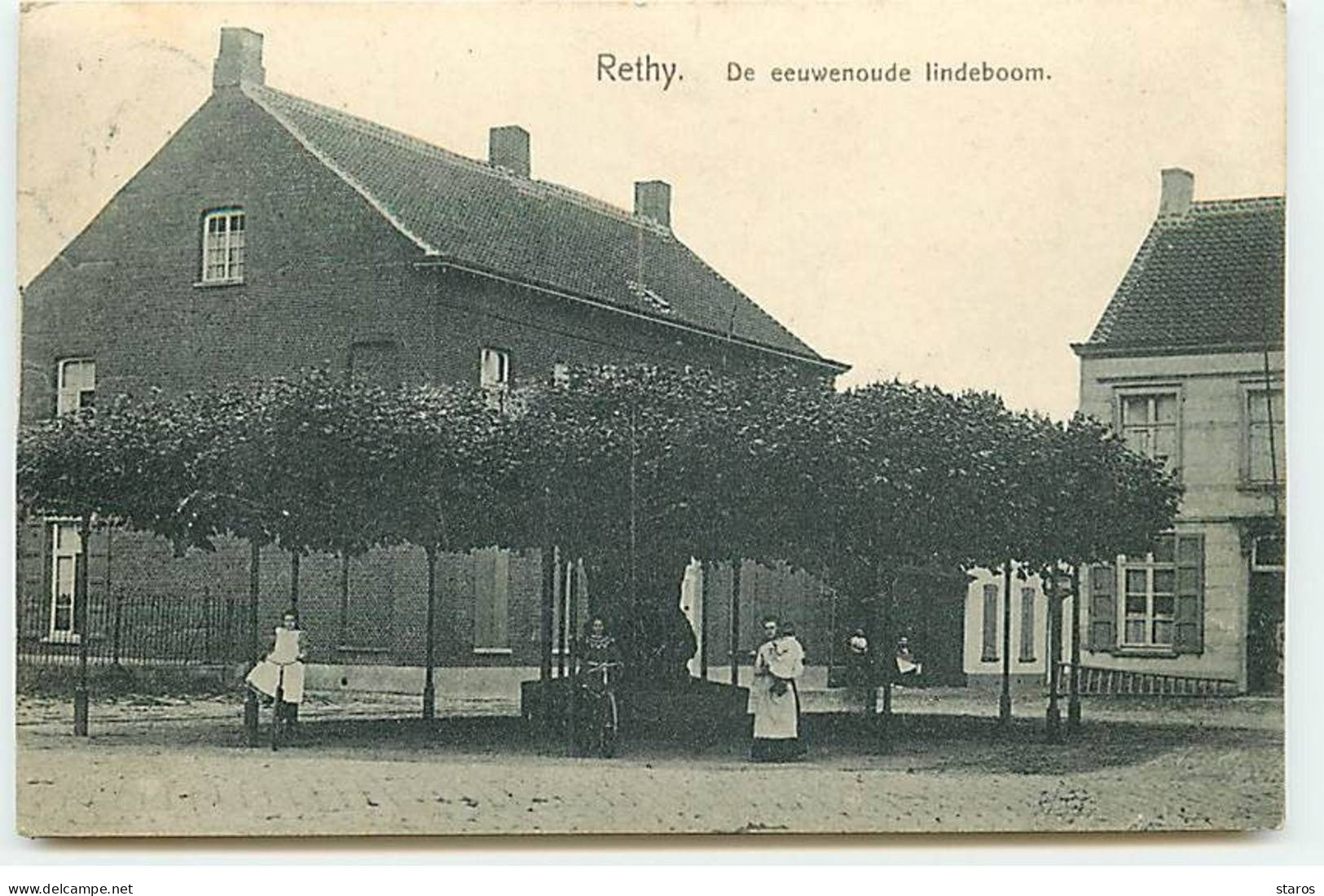 Belgique - RETHY - De Eeuwenoude Lindeboom - Retie