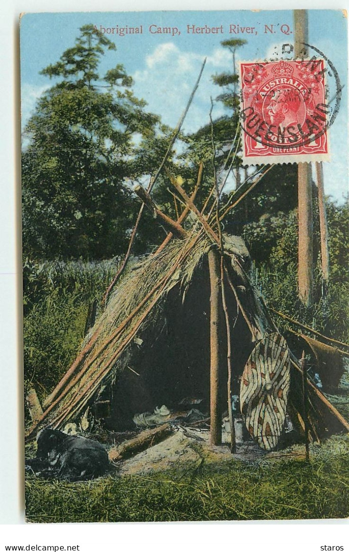 Australie - Aboriginal Camp - Herbert River - N.Q. - Aborigènes