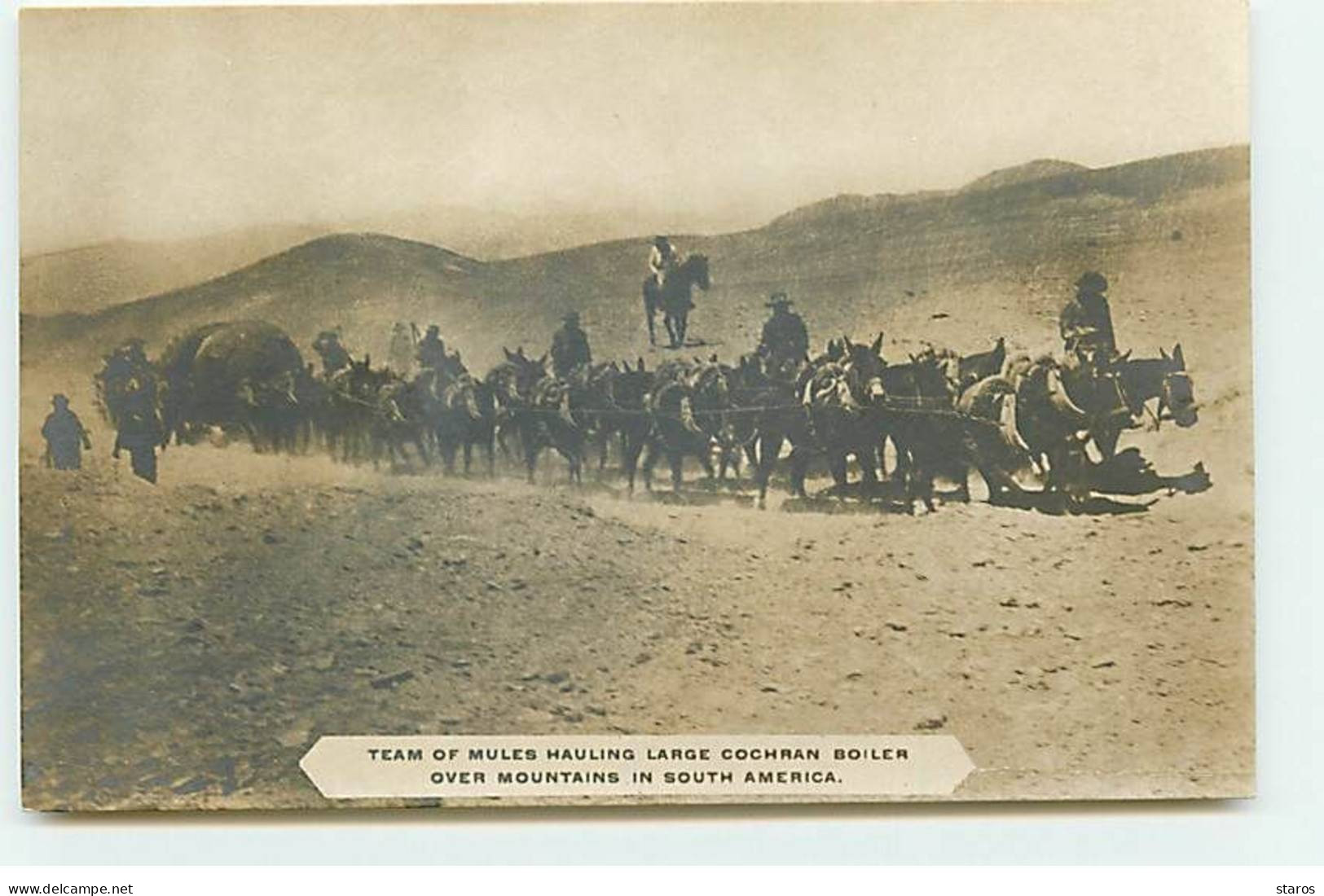 Amérique - Team Of Mules Hauling Large Cochran Boiler Over Mountains In South America - Autres & Non Classés