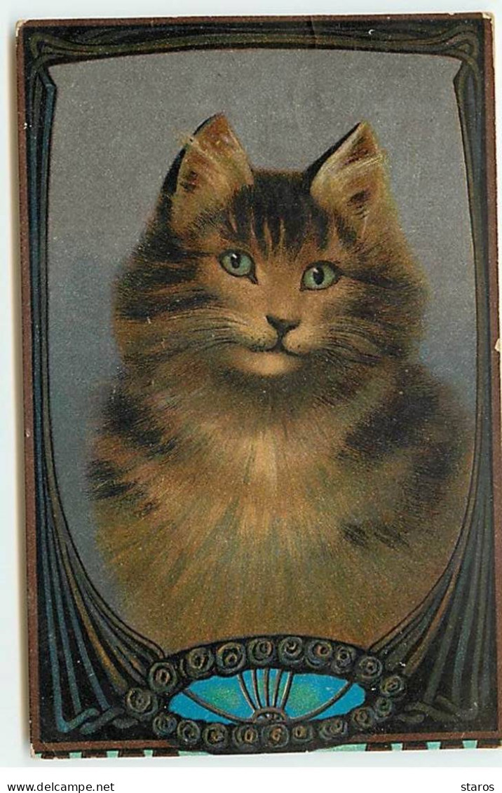 Animaux - Chat - Portrait D'un Chat - Katten