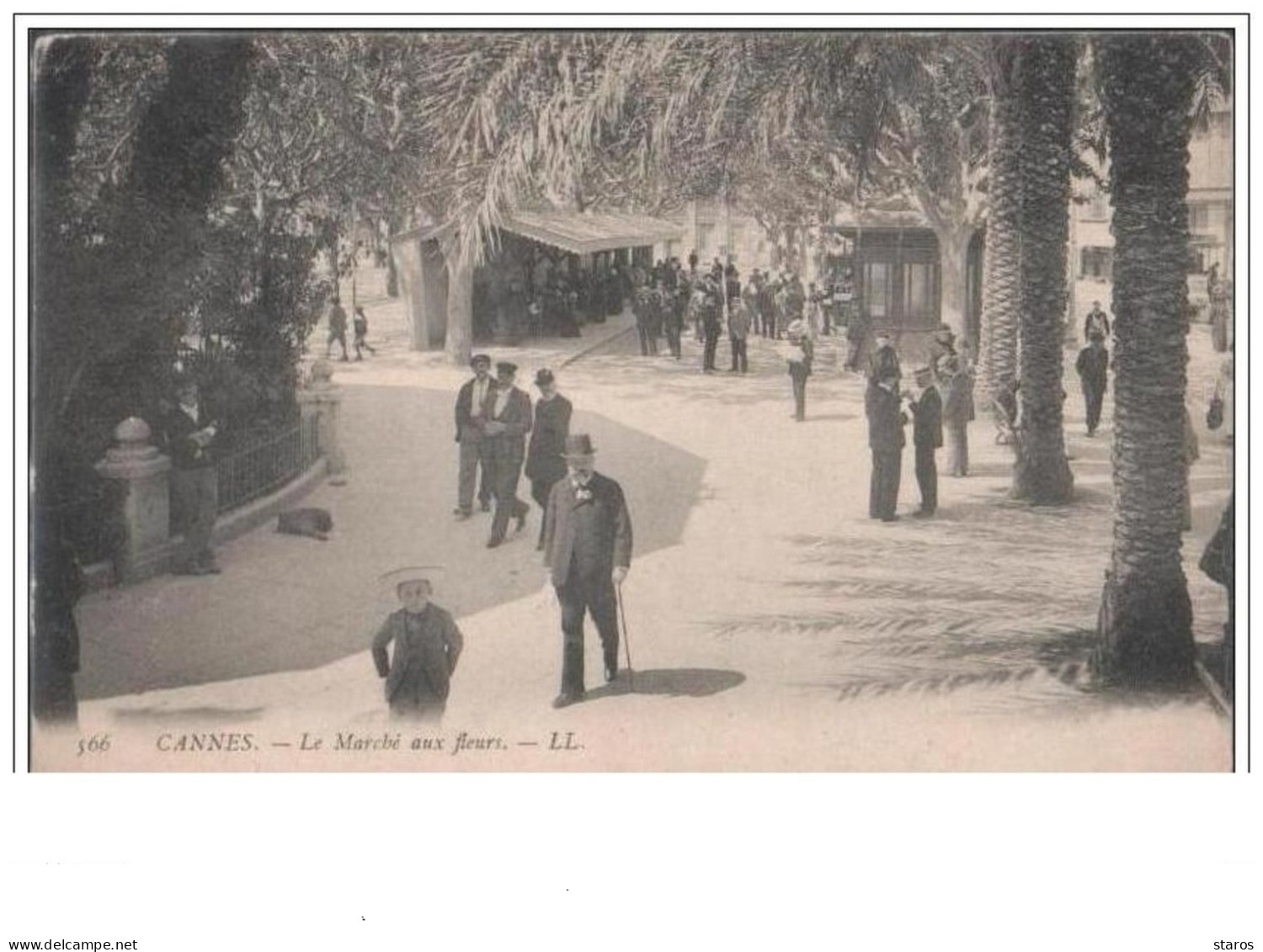 CANNES Le Marché Aux Fleurs (LL N°566) - Cannes