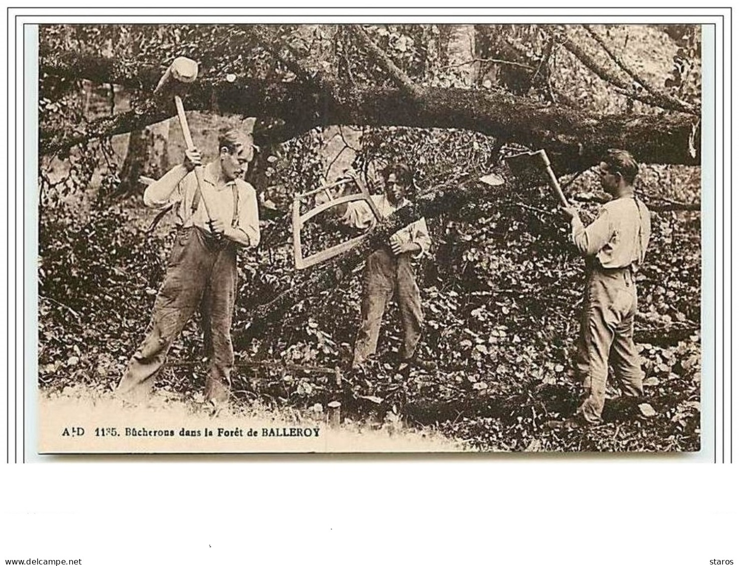 Bûcherons Dans La Forêt De BALLEROY - Andere & Zonder Classificatie