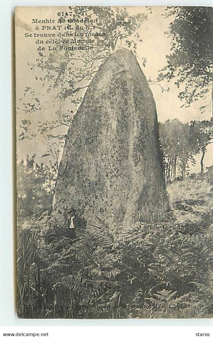 Menhir De Coadélan à PRAT - Se Trouve Dans Les Fosses Du Célèbre Manoir De La Fontenelle - Andere & Zonder Classificatie