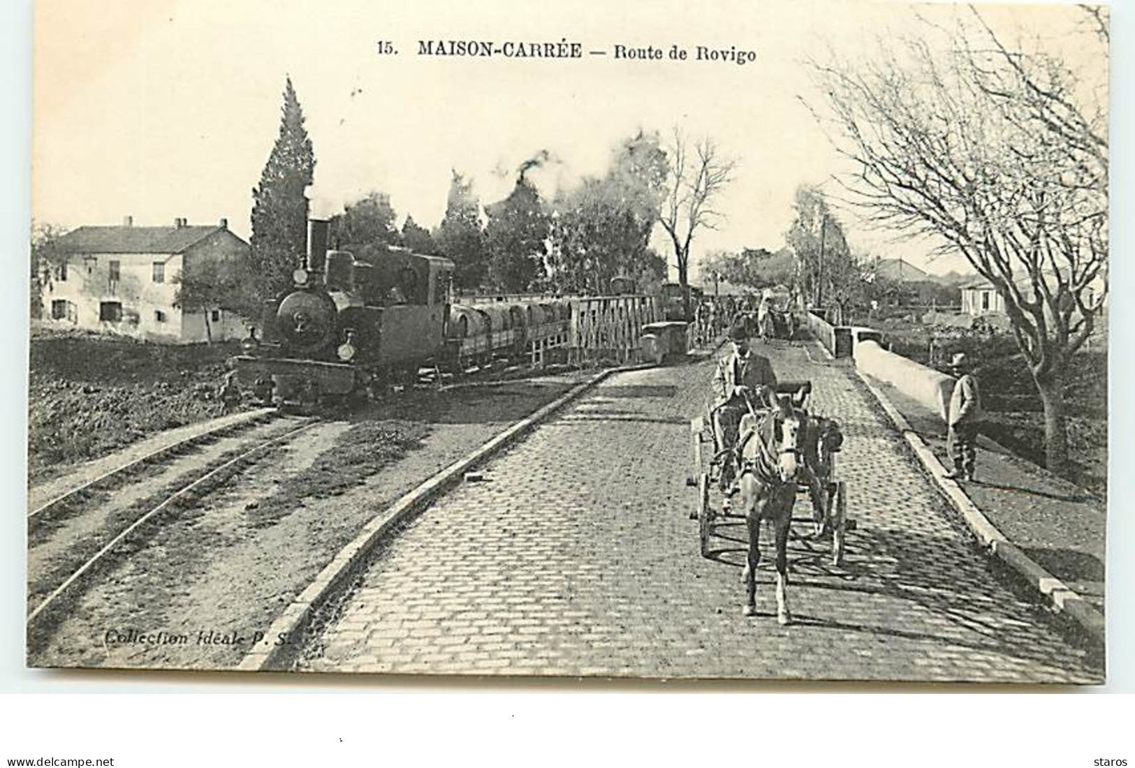 MAISONS-CARREE - Route De Rovigo - Train - Autres & Non Classés