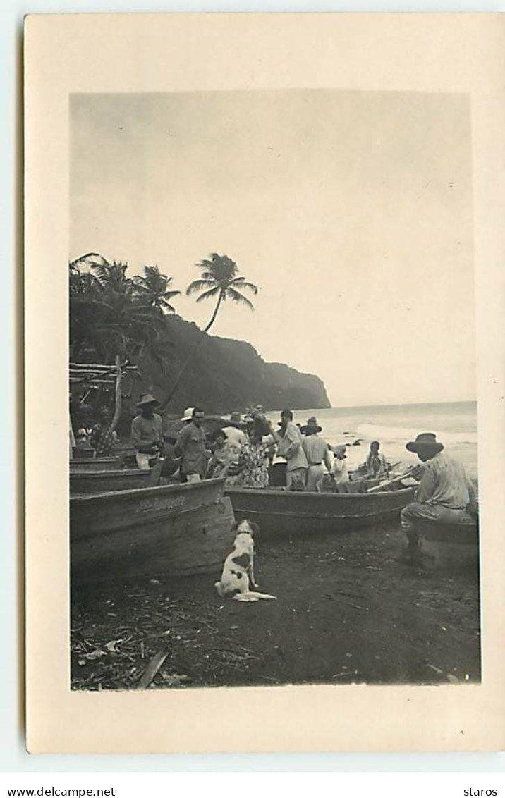 Carte Photo - MARTINIQUE - Un Groupe Sur Une Plage Avec Un Chien, Près De Barques - Andere & Zonder Classificatie