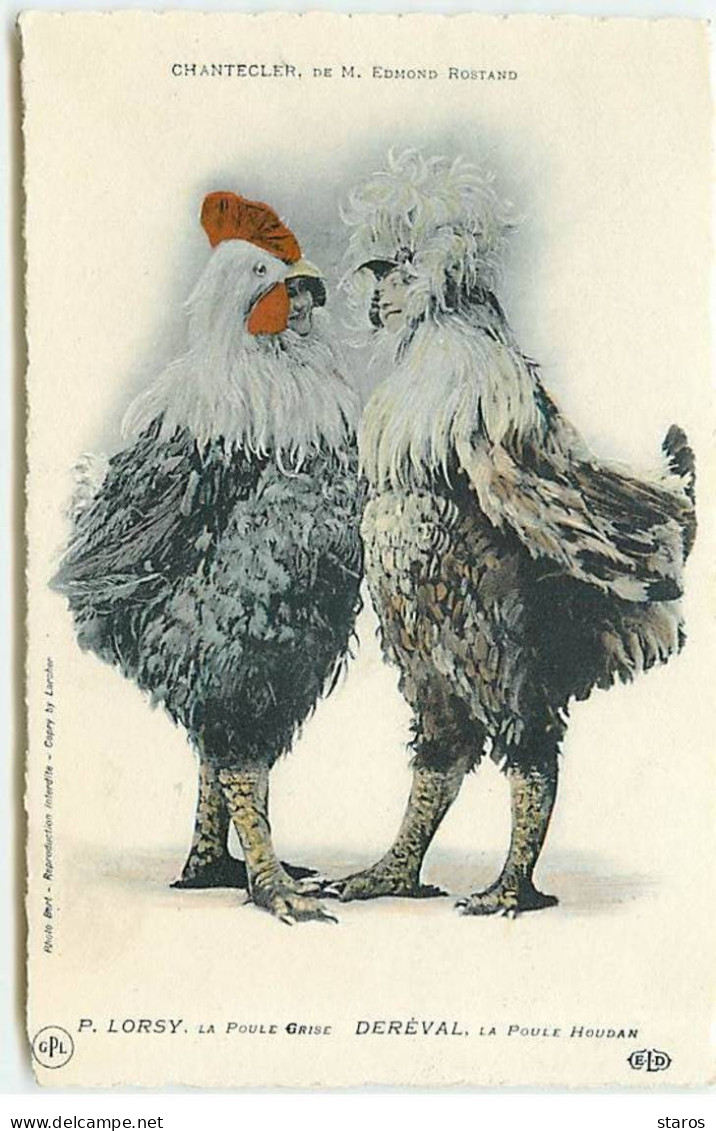 Théâtre - Chantecler, De M. Edmond Rostand - P. Lorsy, La Poule Grise, Déréval, La Poule Houdan - ELD - Theater