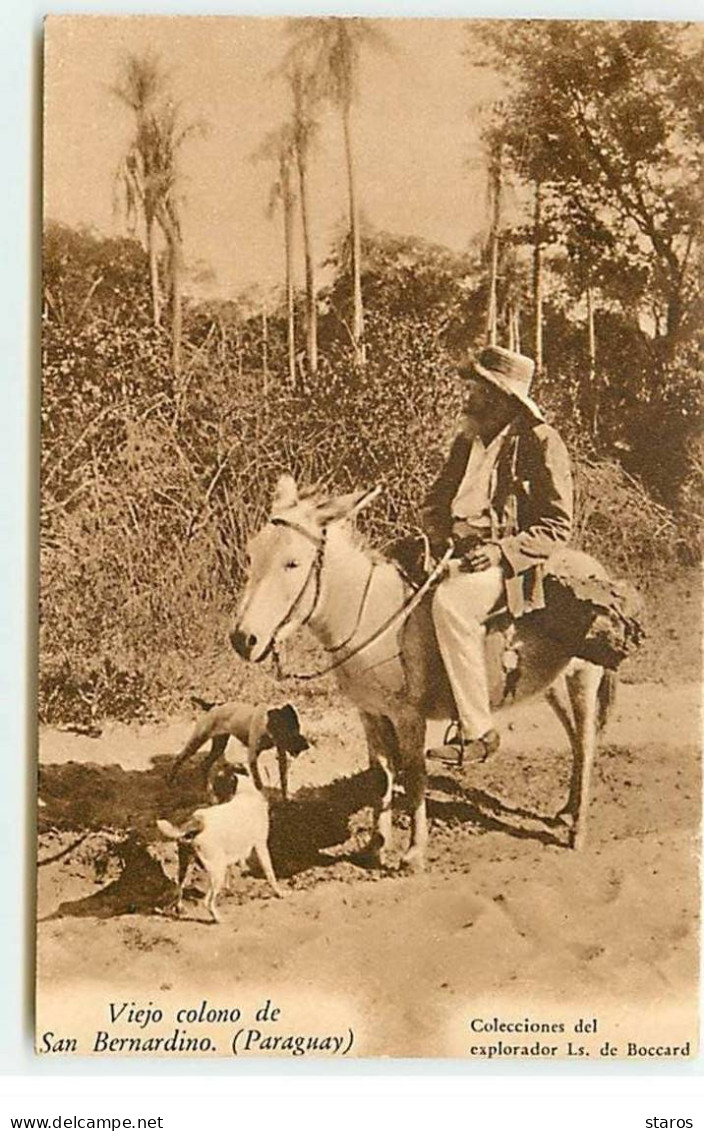 PARAGUAY - Viejo Colono De San Bernardino - Paraguay