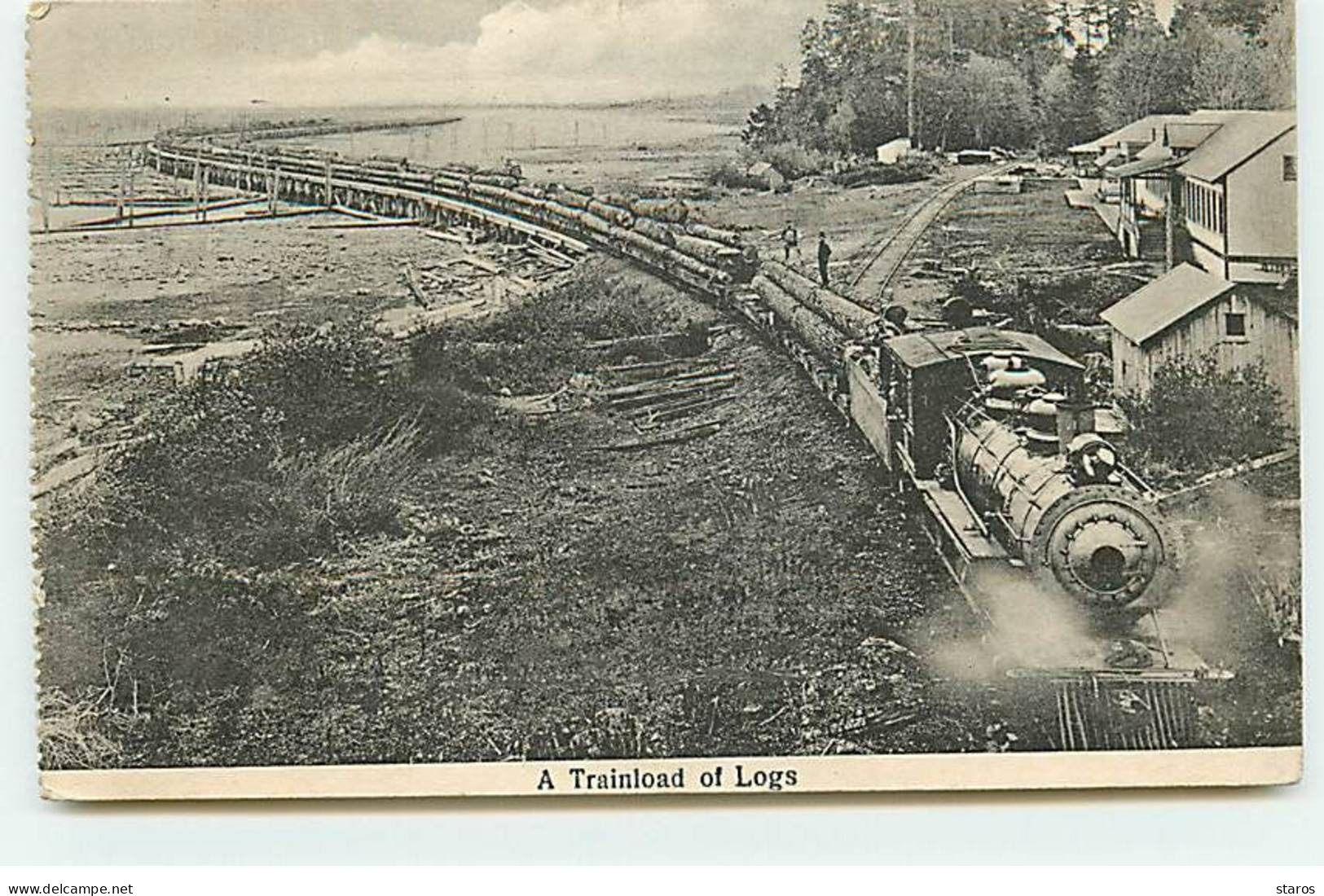 Canada - A Trainload Of Logs - Train Transportant Des Troncs D'arbre - Bois - Autres & Non Classés