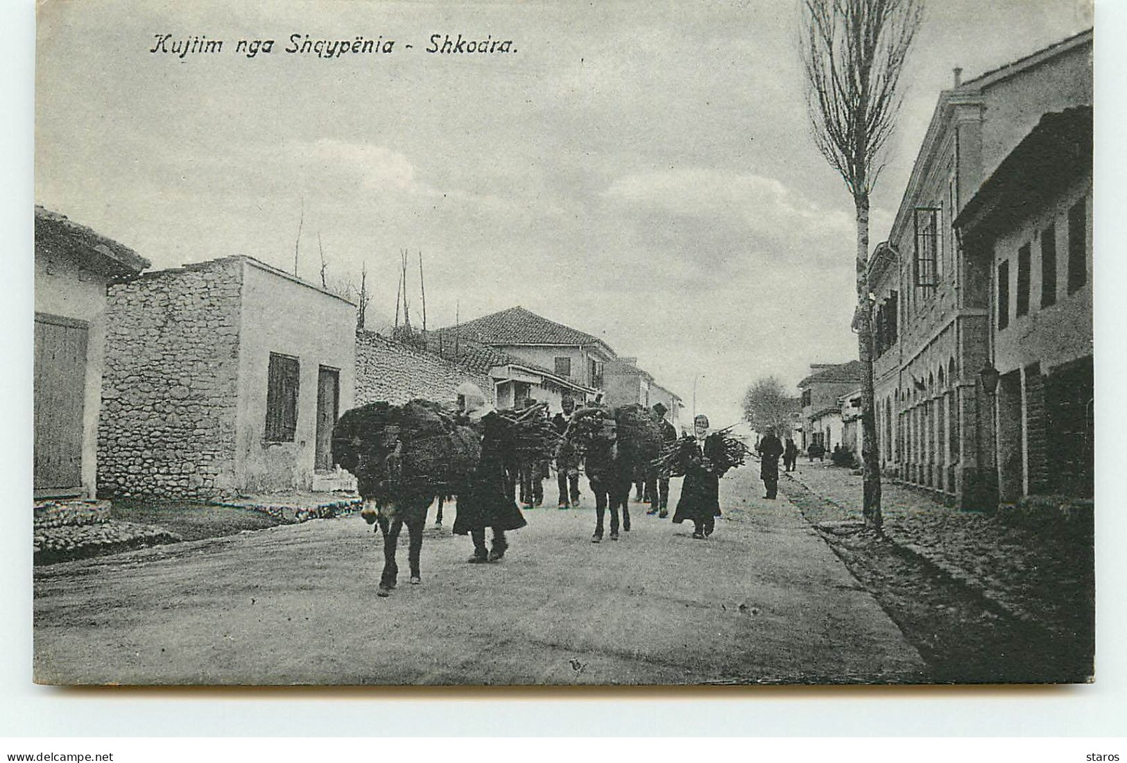 ALBANIE - SHKODRA - Kujtim Nga Shqypënia - Albania