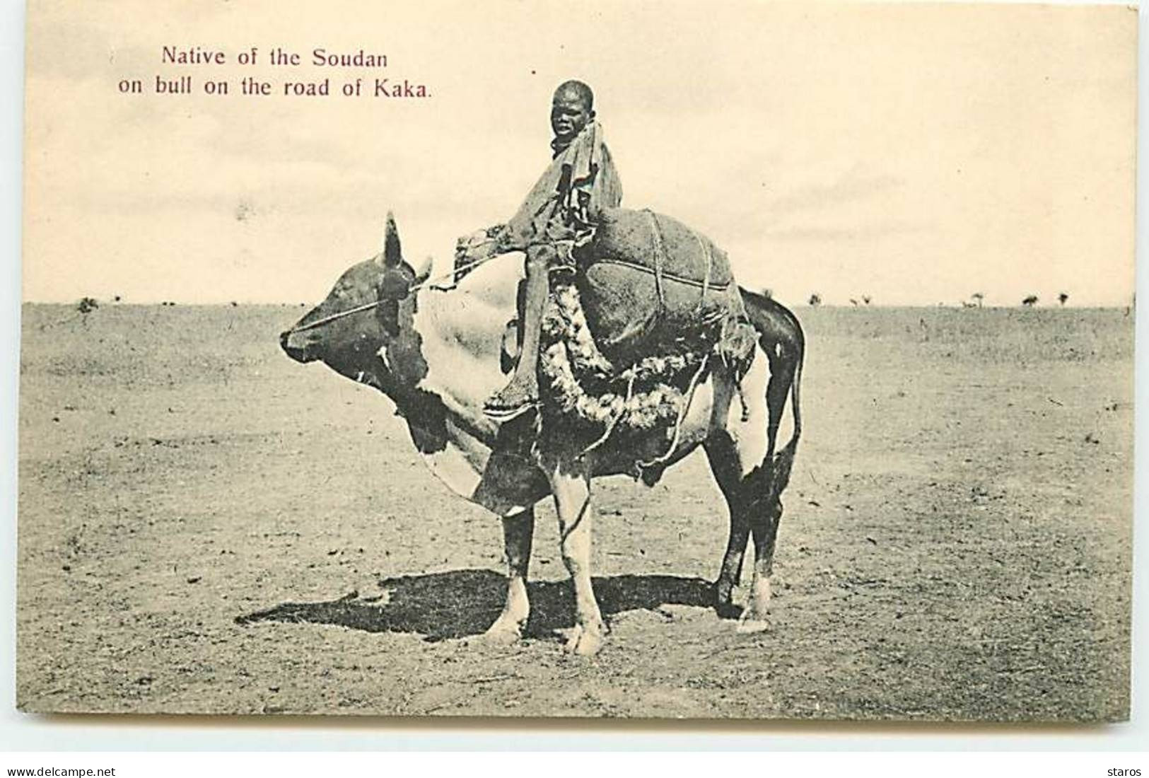 Soudan - Native Of The Soudan On Bull On The Road Of Kaka - Soudan