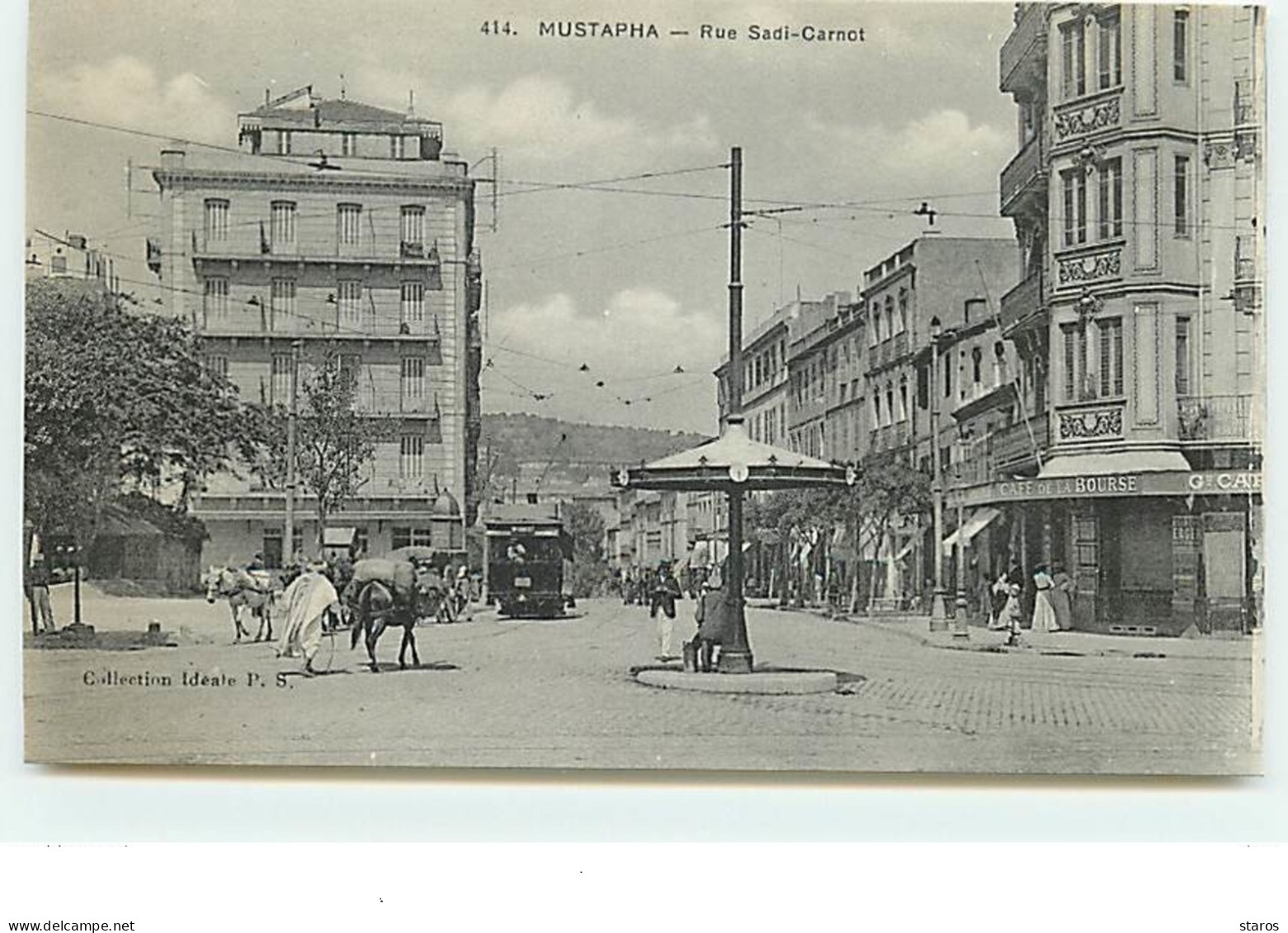 MUSTAPHA - Rue Sadi-Carnot - N°414 - Algerien