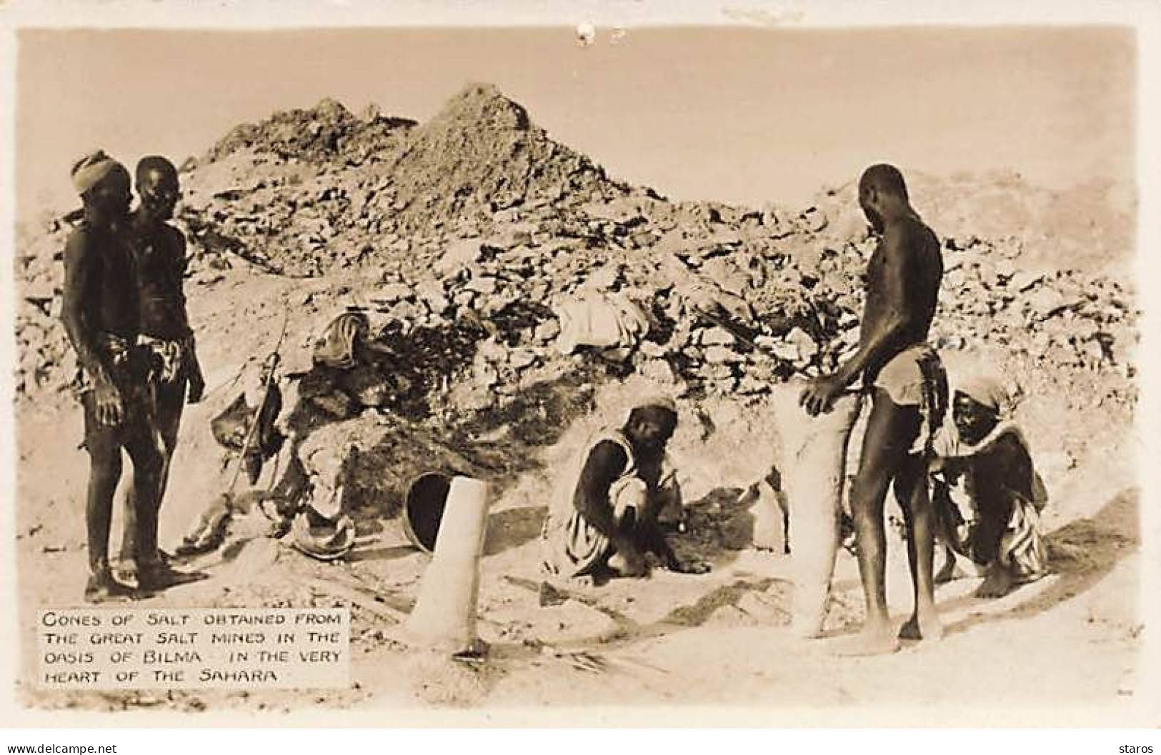 Niger - Gones Of Salt Obtened From The Great Salt Mines In The Oasis Od Bilma, In The Very Heart Of The Sahara - Niger