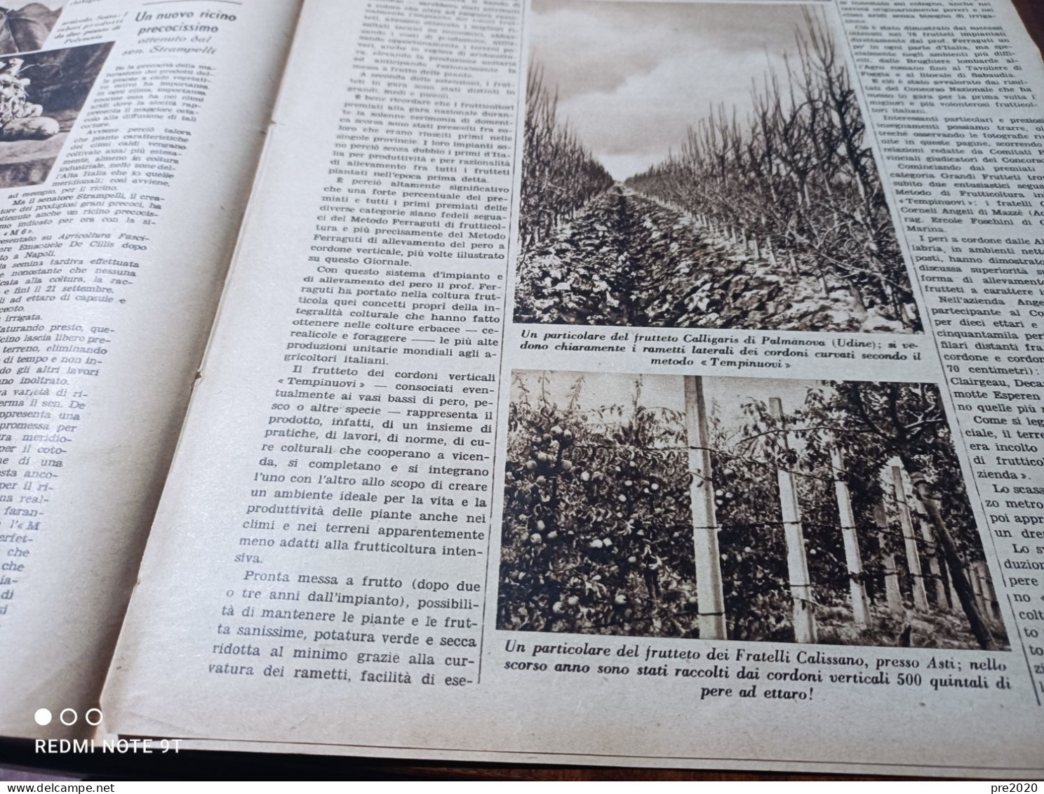 DOMENICA DELL’AGRICOLTORE 1940 MOLARE CATANIA PALMANOVA CASTELNUOVO SOTTO MAZZE’ LORA COMO FIGLINE VALDARNO - Andere & Zonder Classificatie