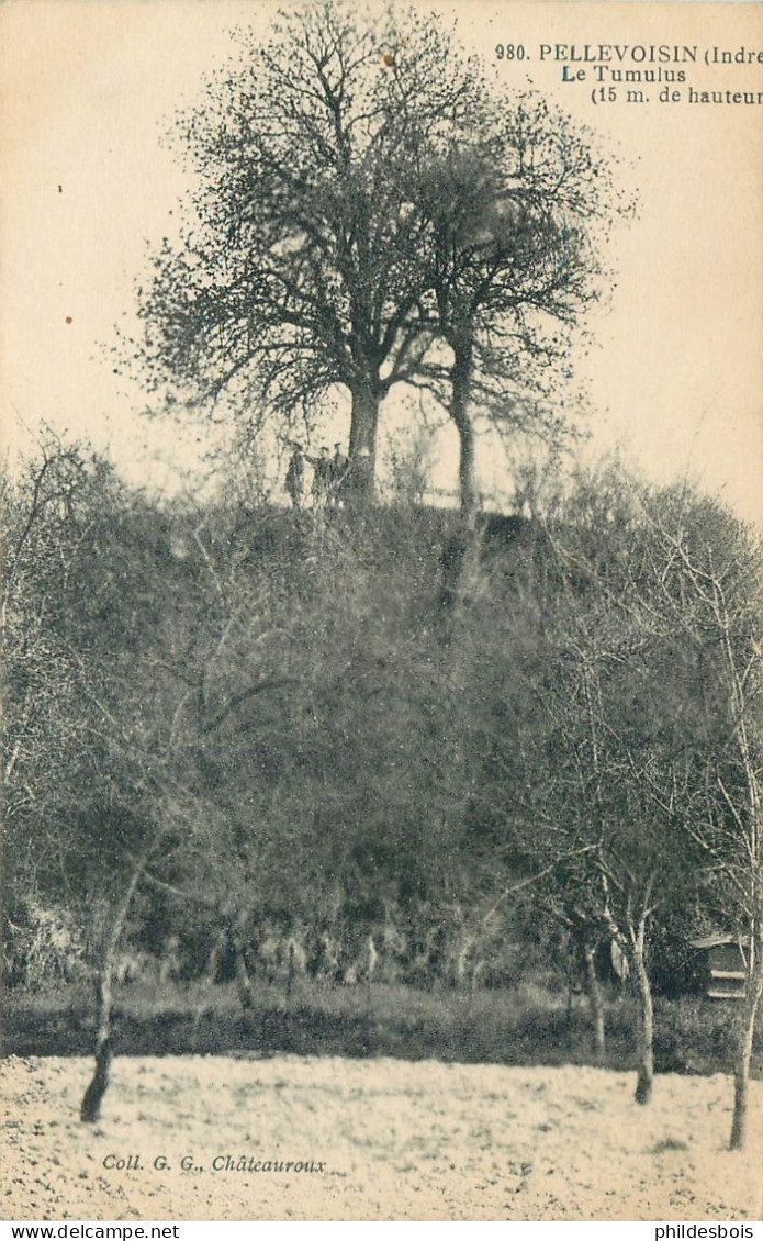 INDRE  PELLEVOISIN   Le Tumulus - Sonstige & Ohne Zuordnung