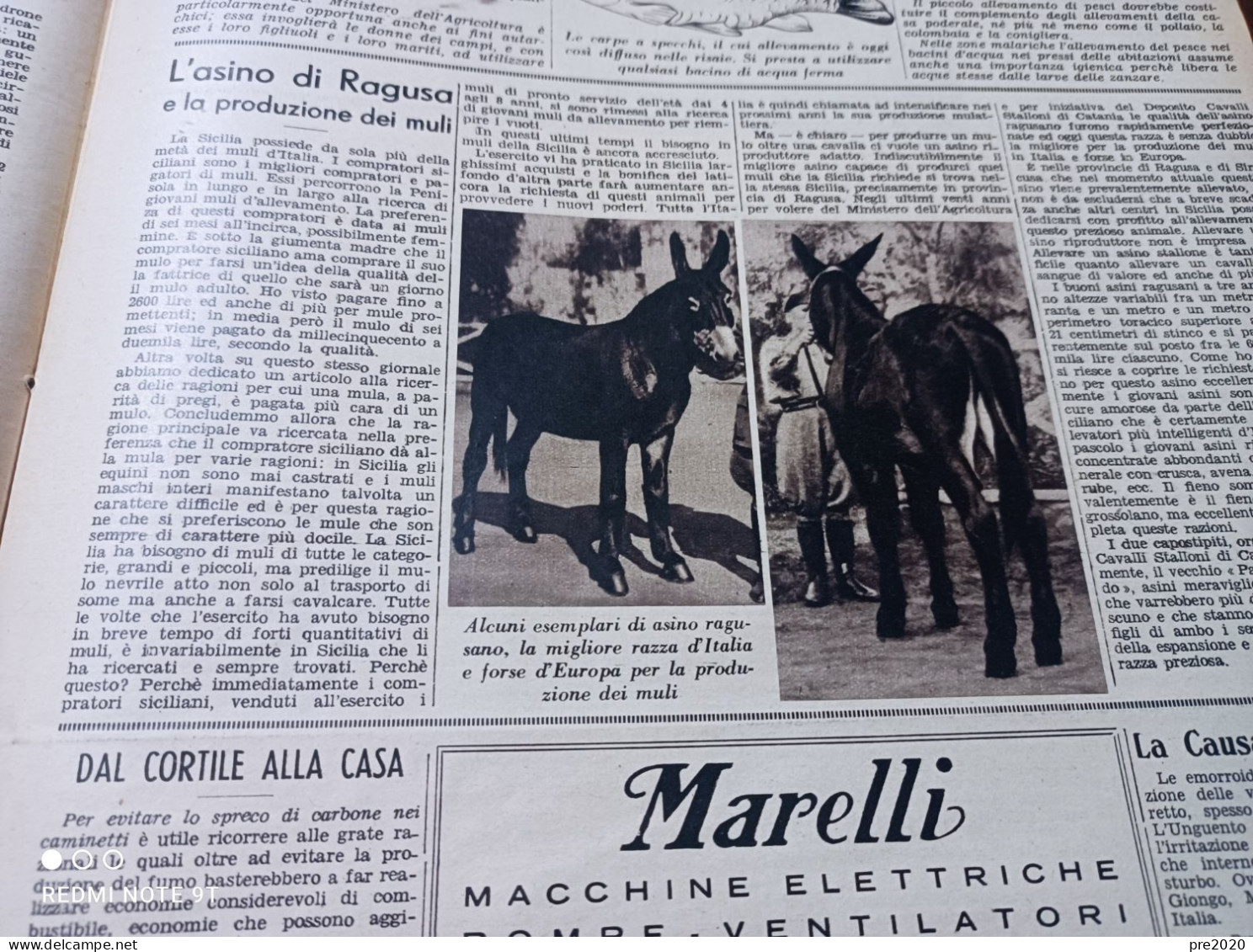 DOMENICA DELL’AGRICOLTORE 1940 L’ASINO DI RAGUSA - Andere & Zonder Classificatie