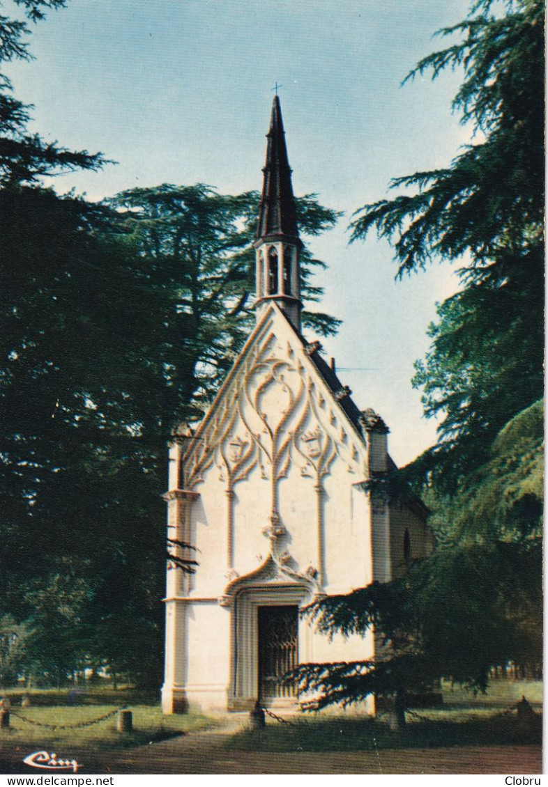 37, Genillé, Château Du Courbat, La Chapelle - Genillé