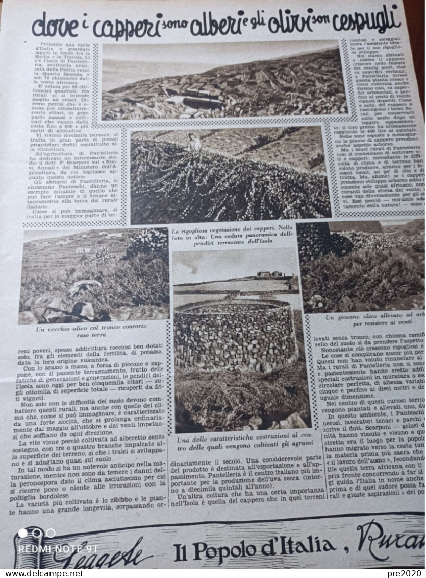 DOMENICA DELL’AGRICOLTORE 1940 CUPRAMONTANA ISOLA DI PANTELLERIA - Autres & Non Classés