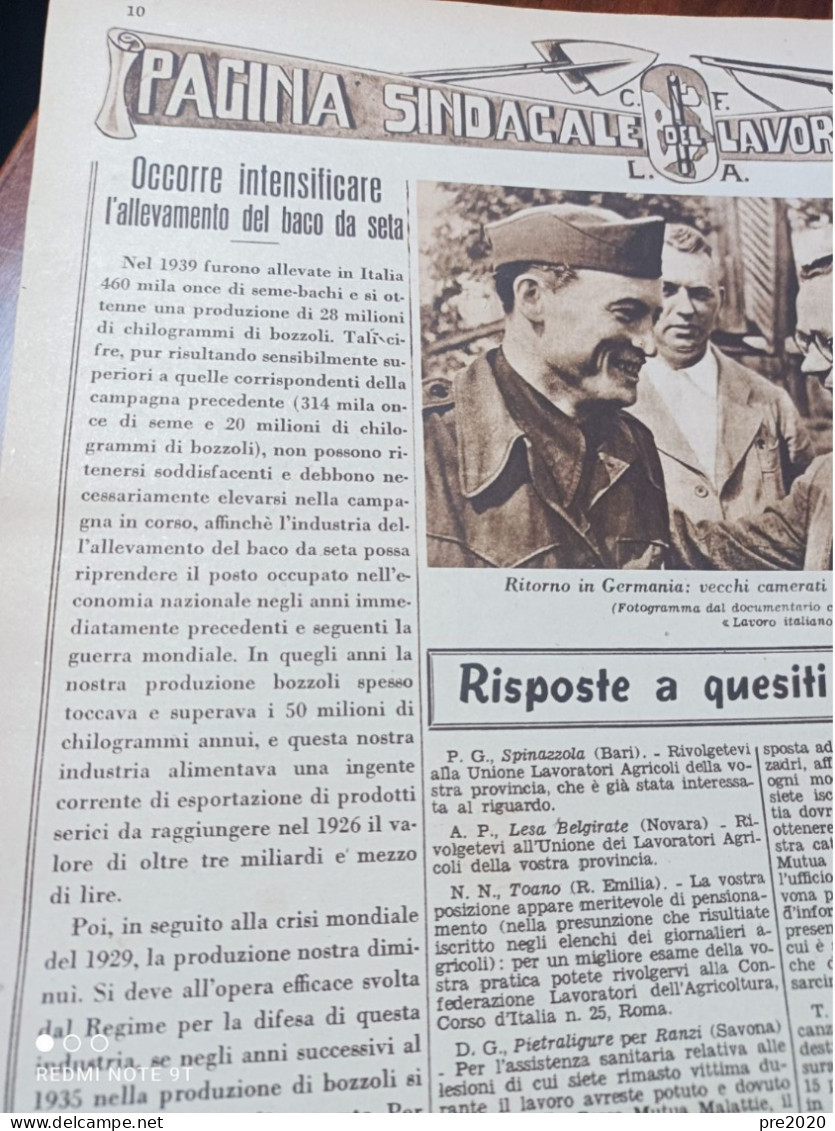 DOMENICA DELL’AGRICOLTORE 1940 ALLEVAMENTO DEI BACHI DA SETA - Other & Unclassified