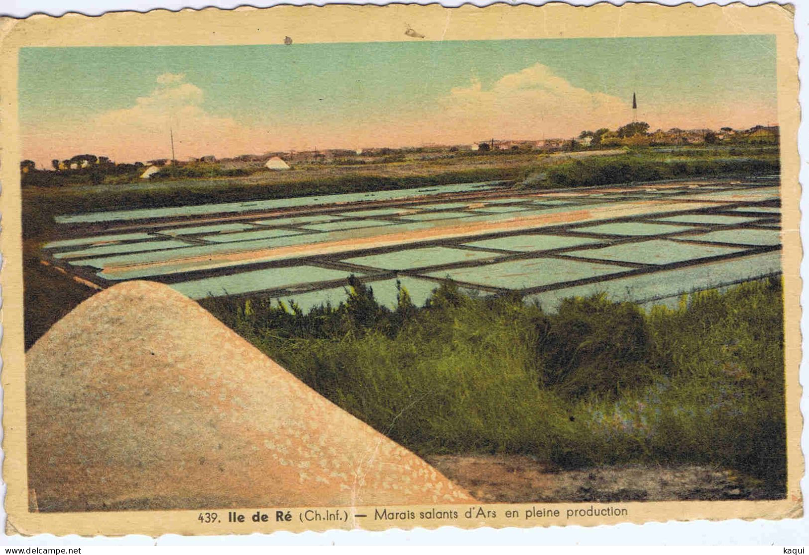 CHARENTE-MARITIME - ILE DE RE - Marais Salants D'ARS En Pleine Production - J. Nozais, Edit. - N° 439 - Ile De Ré