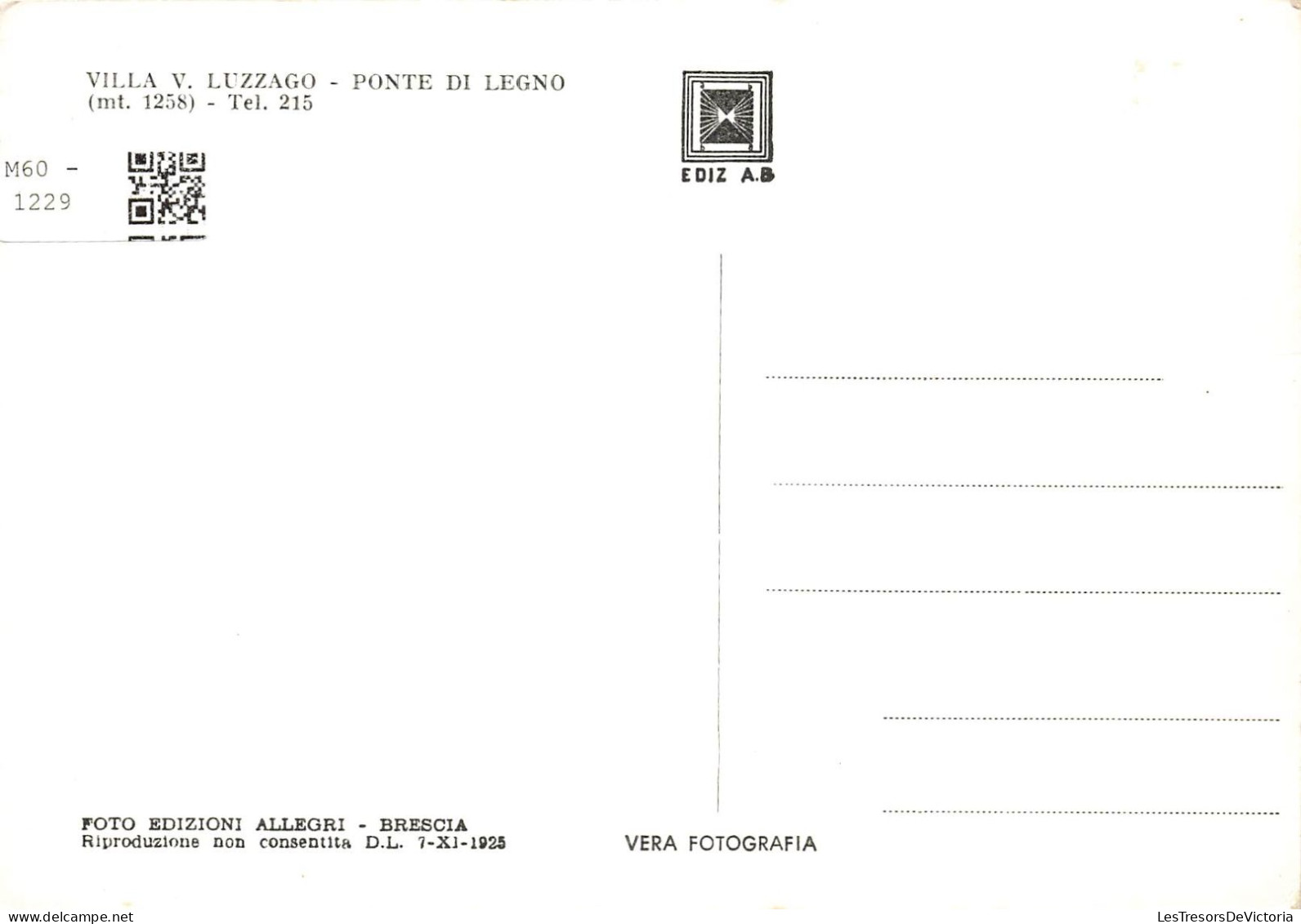 ITALIE - Villa V Luzzago - Ponte Di Legno (mt 1258) -  Carte Postale Ancienne - Brescia