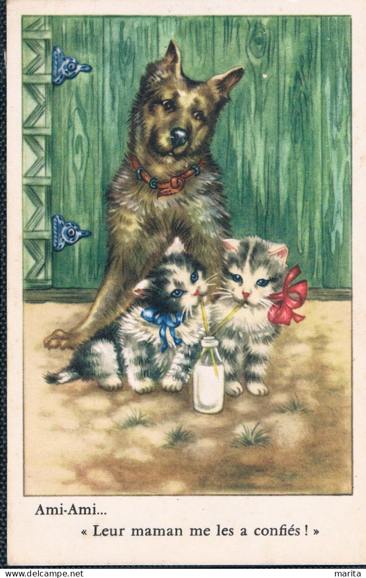 2 Chats Et Chien  -cats Dog- Poesjes Met Melk , Hond -katzen Hunde - Katten