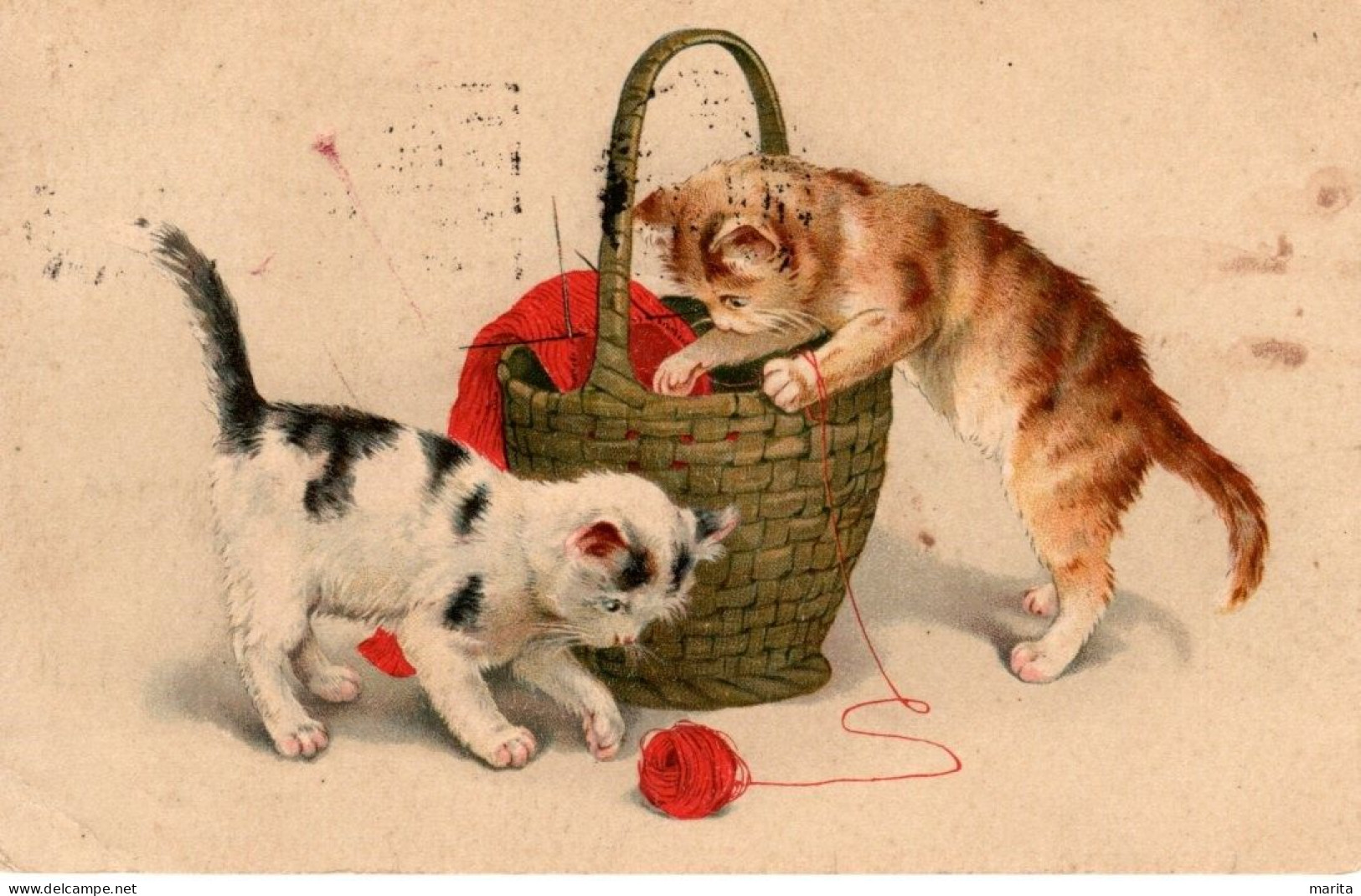 Chats Et Panier -cats -katzen- Poesjes  Mand Breiwol - Katzen