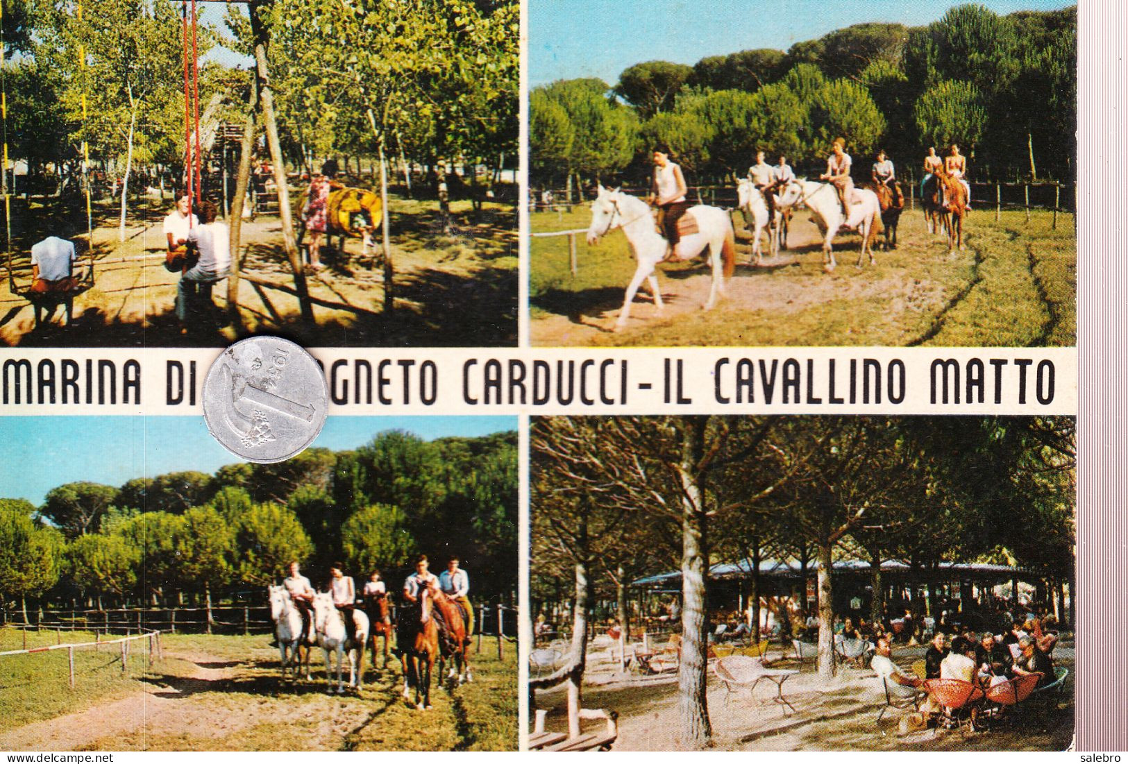 01225 MARINA DI CASTAGNETO CARDUCCI LIVORNO - Livorno