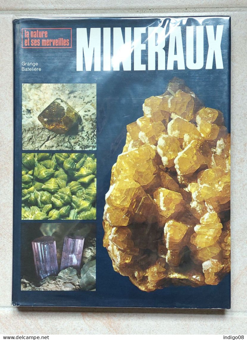 Les Minéraux De Michile Vincenzo Grange Batelière - Minerals