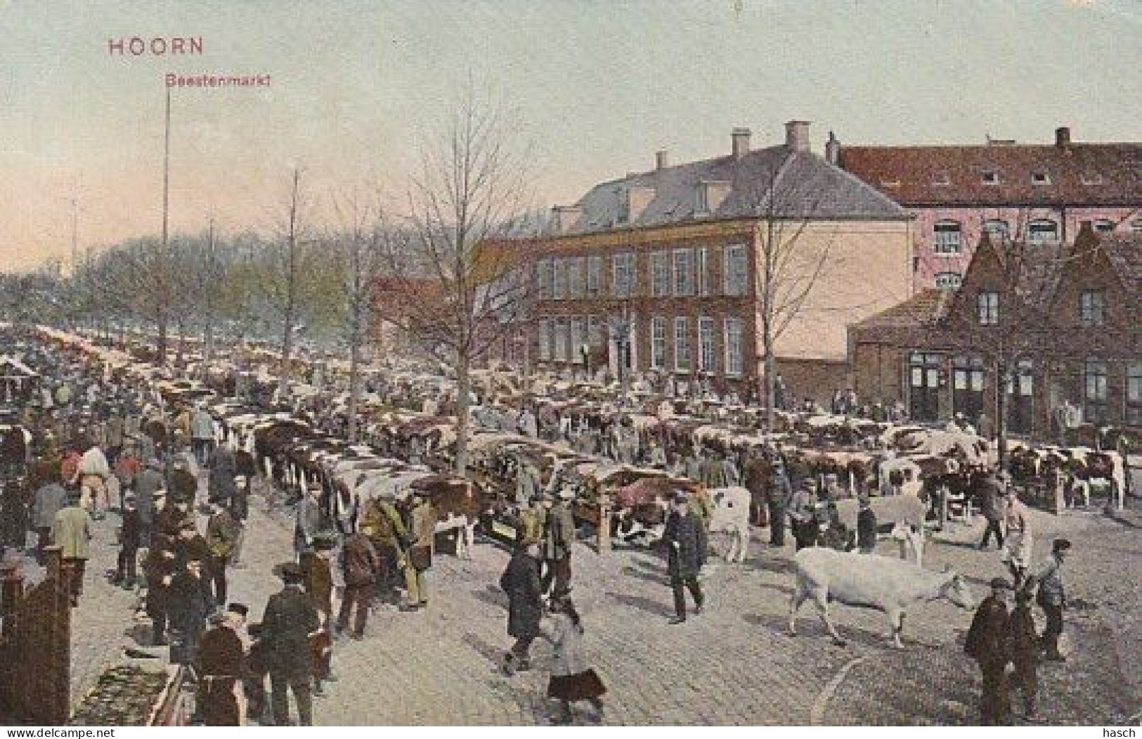 1887	12	Hoorn, Beestenmarkt (poststempel 1906) (kleine Vouwen In De Hoeken) - Hoorn