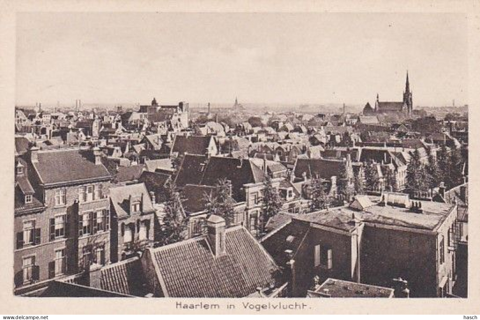 1889	105	Haarlem, In Vogelvlucht. - Haarlem