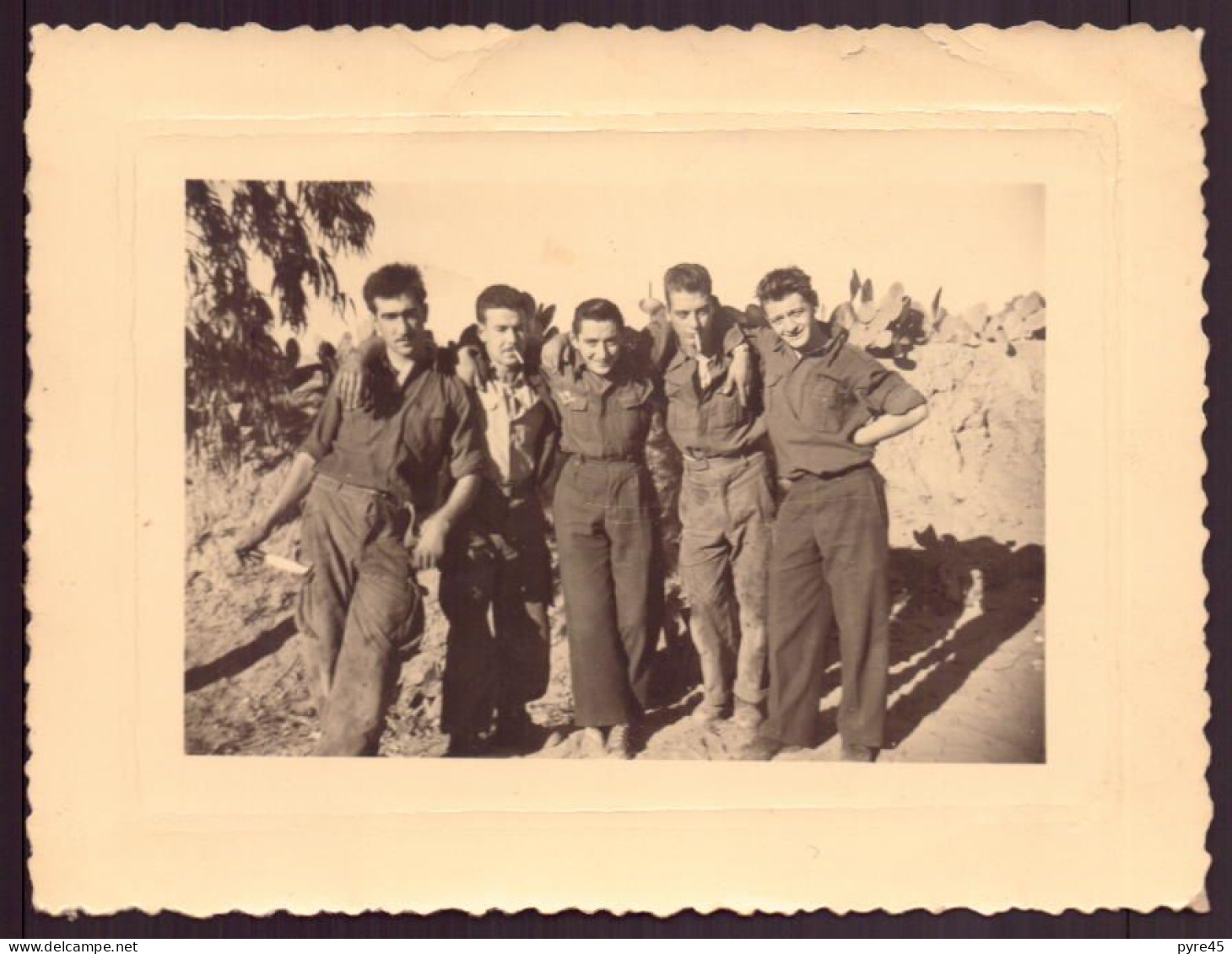 Photo ( 11 X 8 Cm ) " Groupe De Soldats Près Des Rochers " Tunisie - Guerre, Militaire