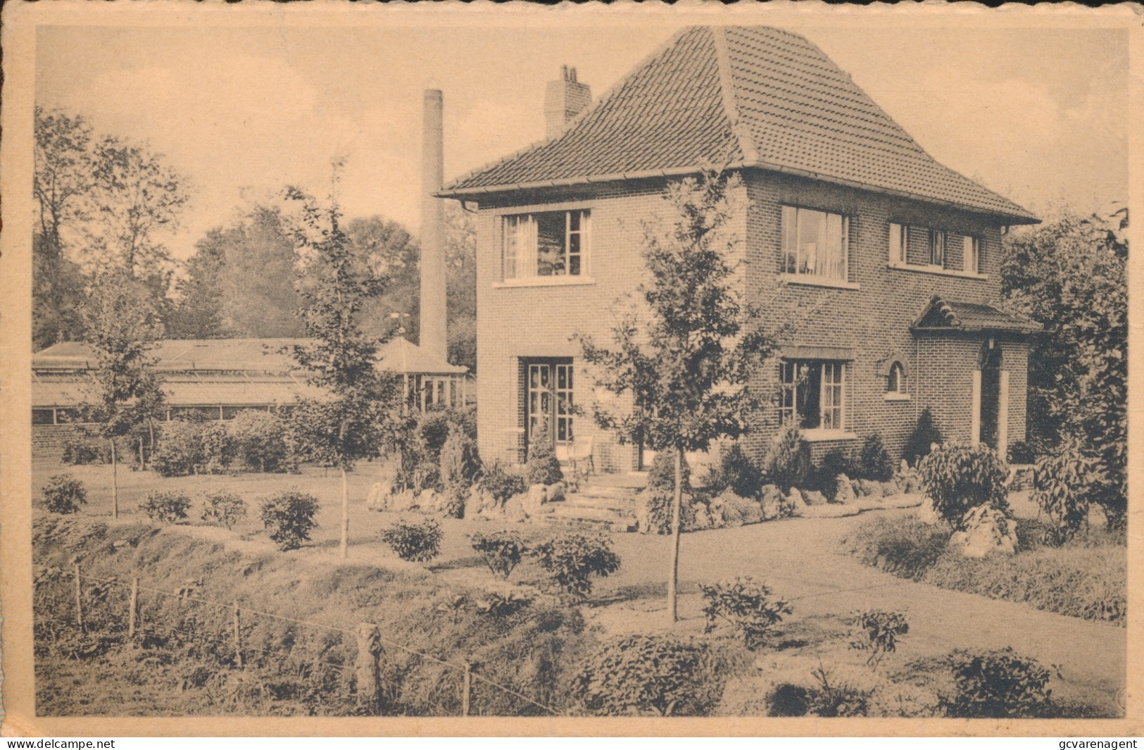 SINT DENIJS WESTREM. ORCHIDEEËN  CULTUUR        A.DE CONINCK & ZOON  LAUWSTRAAT 28 - Gent