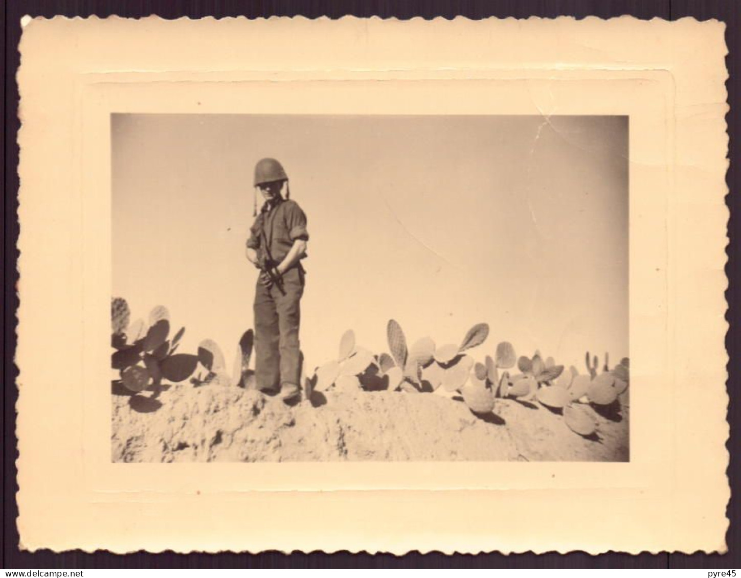 Photo ( 11 X 8 Cm ) " Soldat Au Milieu Des Cactus " Tunisie - Guerra, Militares