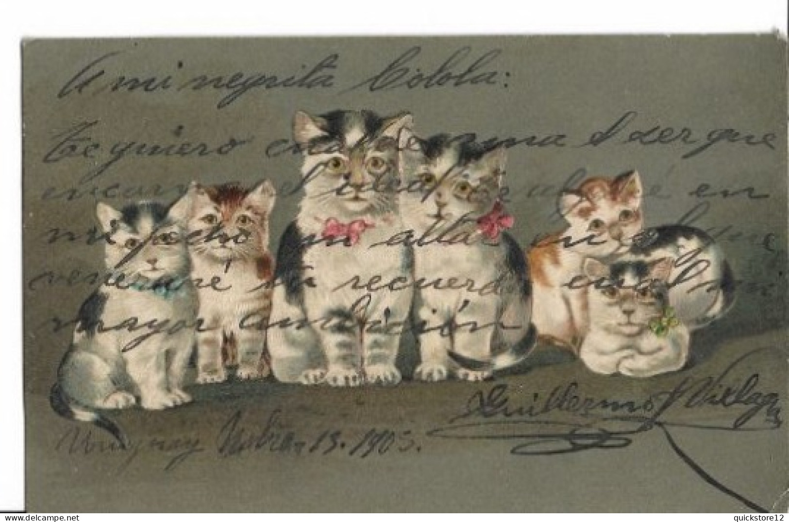 Antigua Postal Felinos - 7528 - Katten