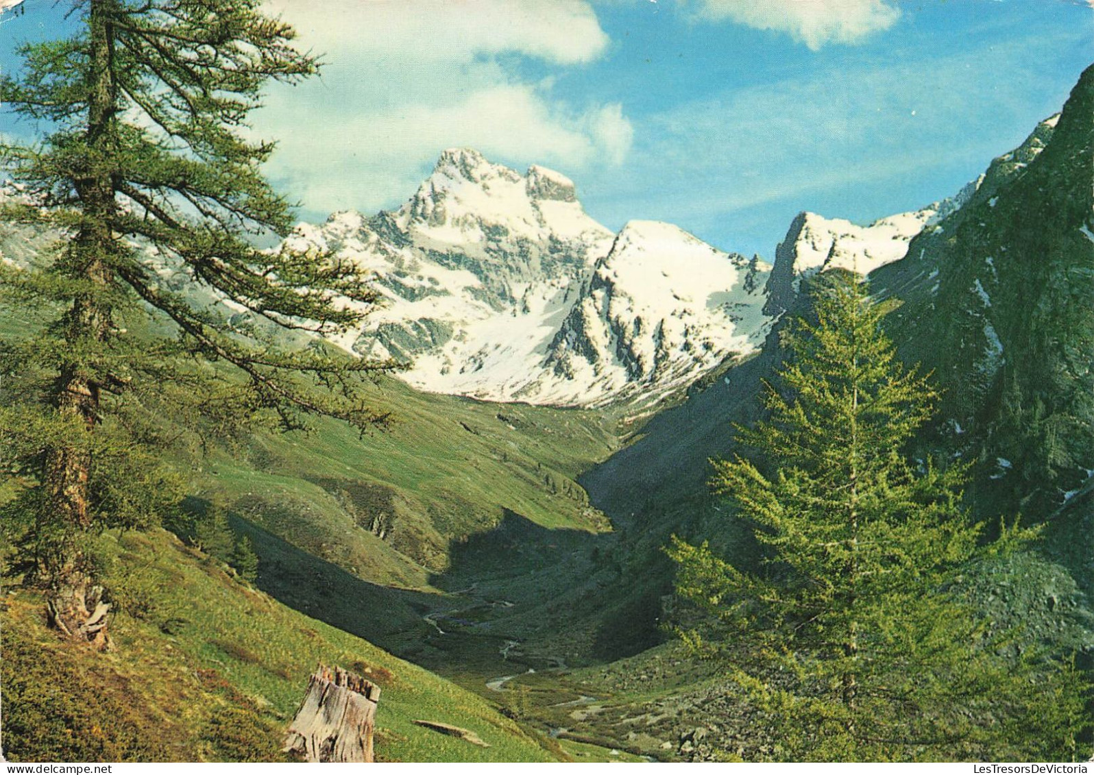 ITALIE - Les Alpes Touristiques - Le Mont Viso (alt 3845 M) Et Le Guil - Carte Postale Ancienne - Cuneo