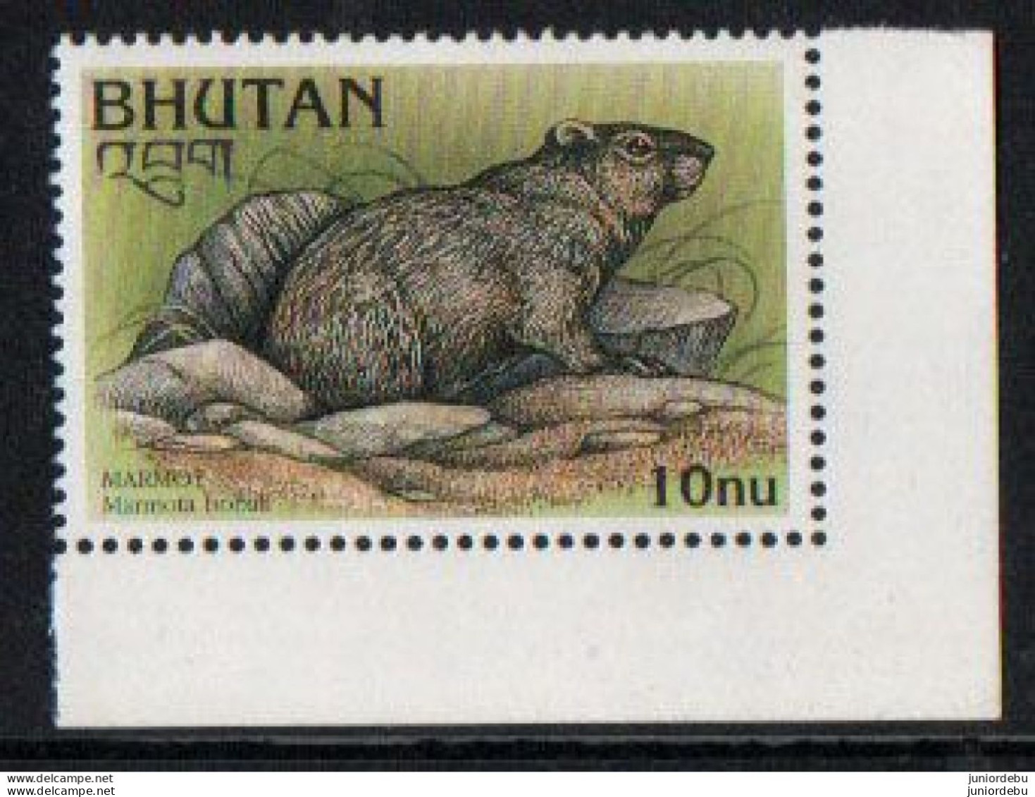 Bhutan  - 1997 - Endangered Species - Marmota Bobak - MNH ( OL 18/03/2023 ) - Bhutan