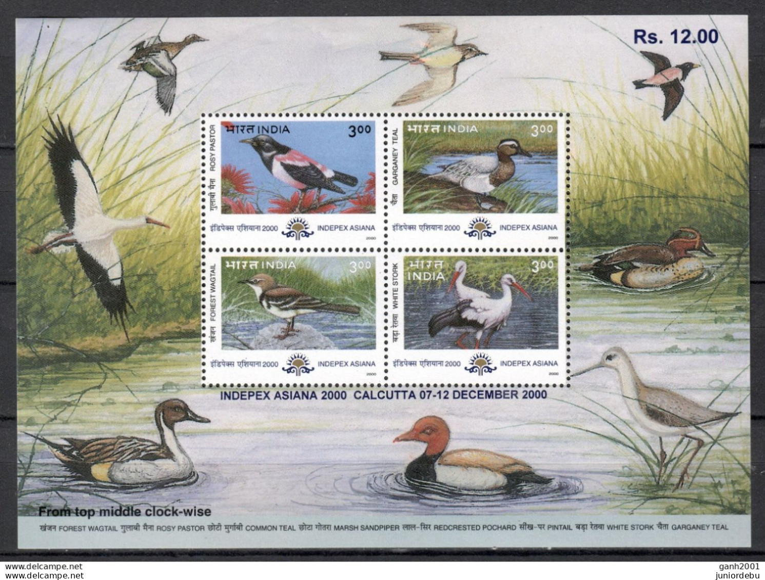 India - 2000 - Birds - Miniature Sheet Issued On Occasion Of  INDEPEX. - MNH. - Unused Stamps