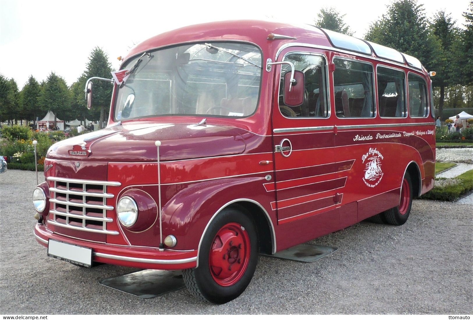 Fiat 615N  Ancien Autobus Menarini  (1954)  - 15x10cms PHOTO - Autobús & Autocar