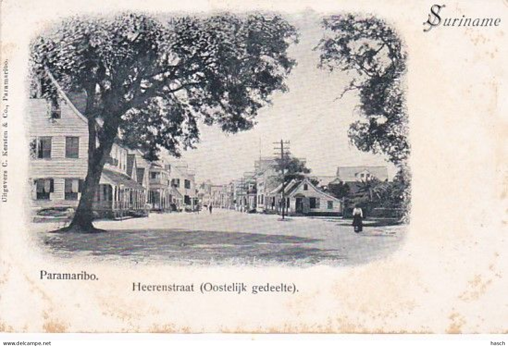 19094Suriname, Paramaribo Heerenstraat (Oostelijk Gedeelte)(rechtsboven Een Minuscuul Vouwtje) - Surinam