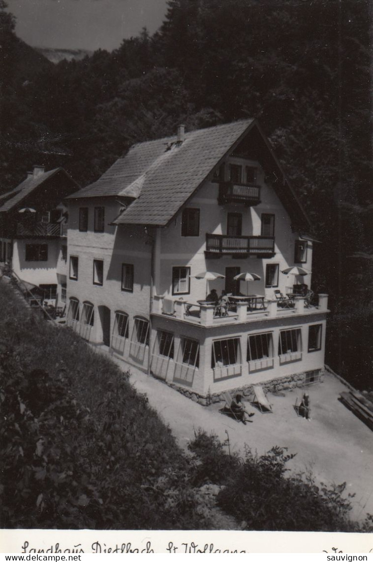 St.Wolfgang Am Wolfgangsee, Salzkammergut. Landhaus Dietlbach, 1952 - St. Wolfgang