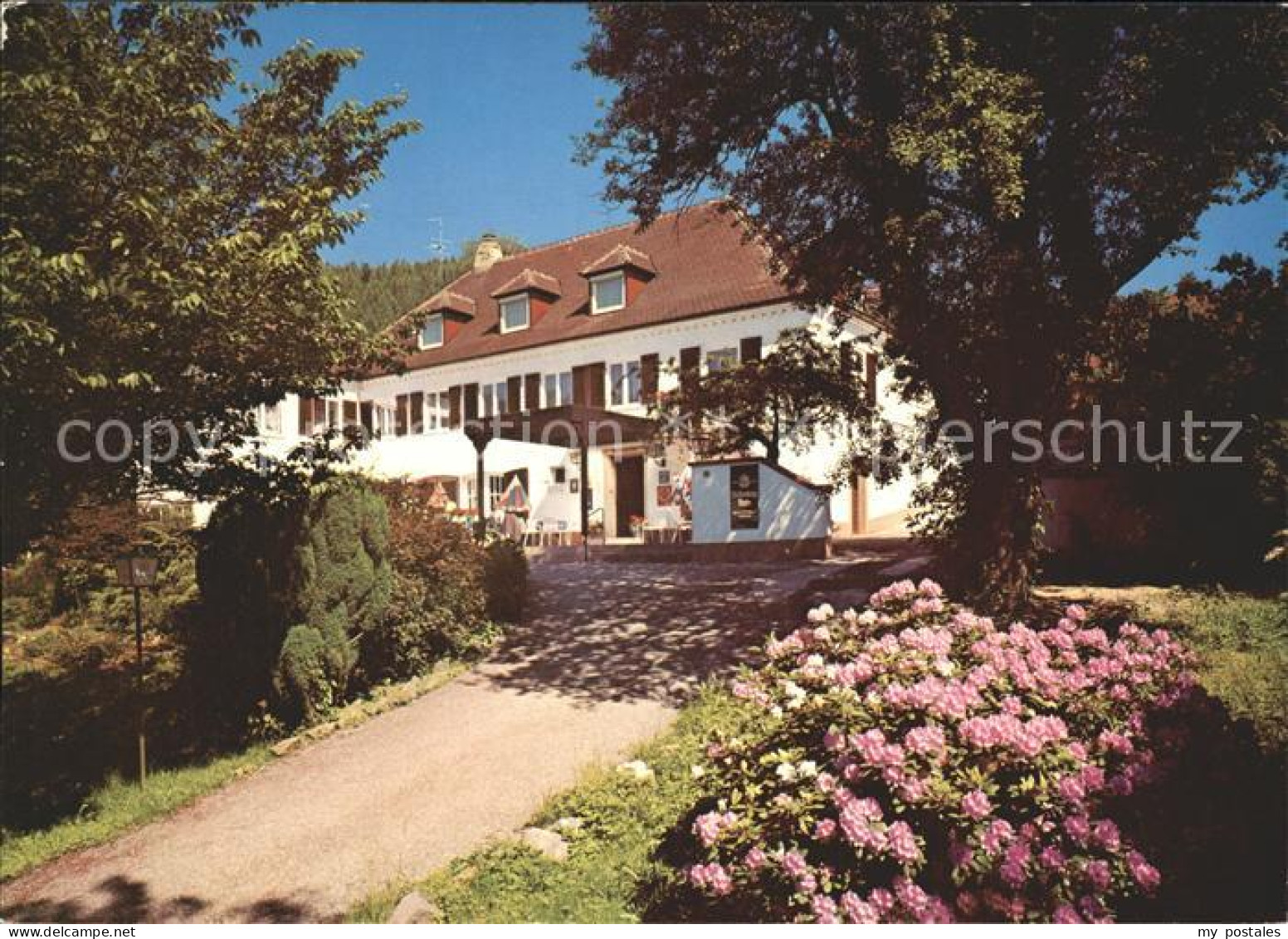 72232325 Wolfach Schwarzwaldhotel  Wolfach - Wolfach