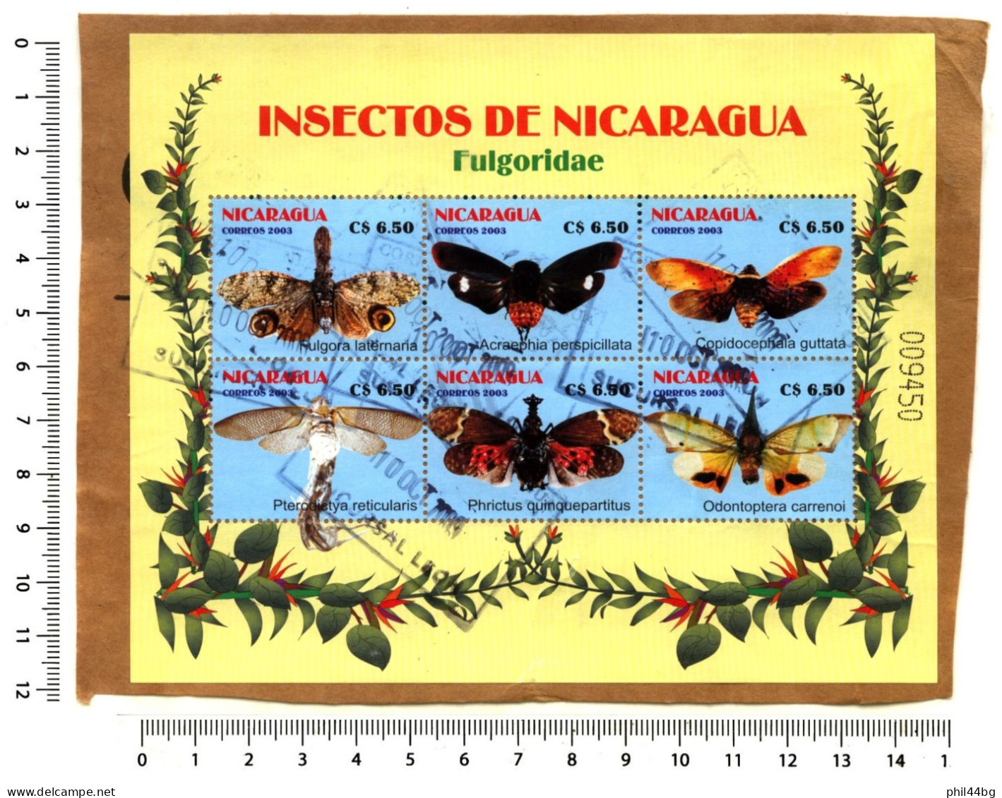 Bloc Oblitéré 6 Timbres - ‘’INSECTOS DE NICARAGUA - Fulgoridae’’ - Sur Papier - 004 - Nicaragua