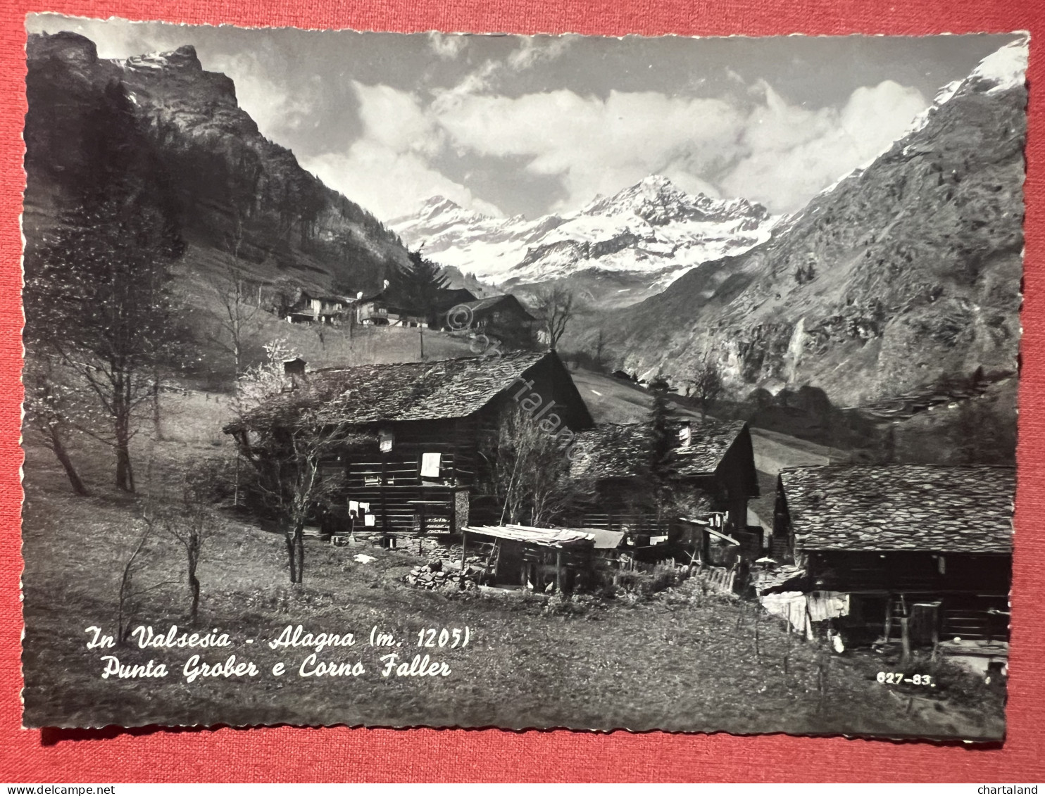 Cartolina - In Valsesia - Alagna - Punta Grober E Corno Faller - 1955 Ca. - Vercelli